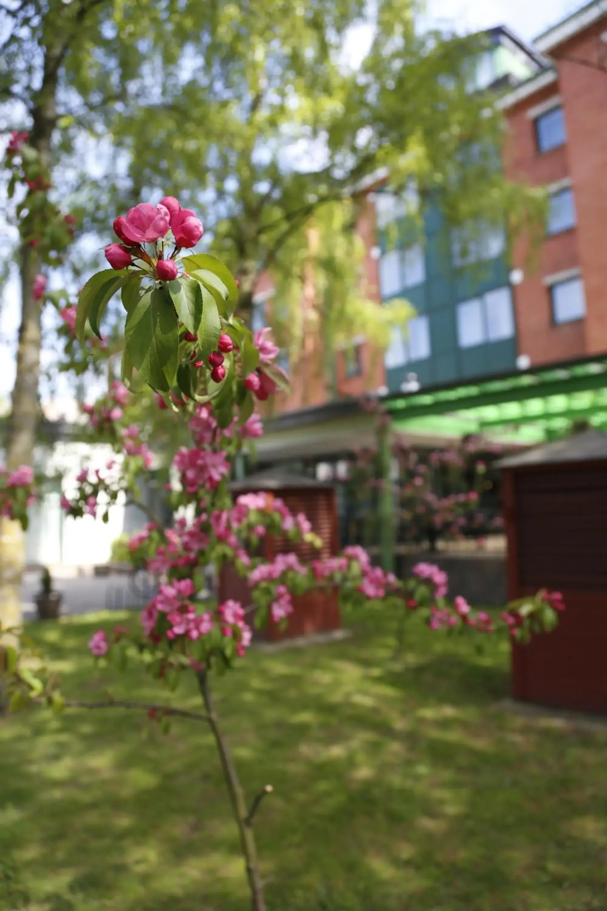 Garden view in Amrita Hotel Garden view in Amrita Hotel