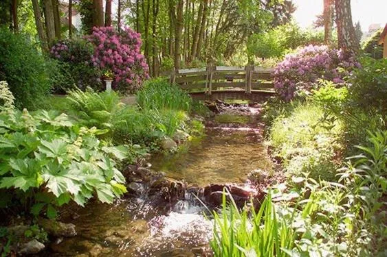 Garden in Parkhotel am Taunus