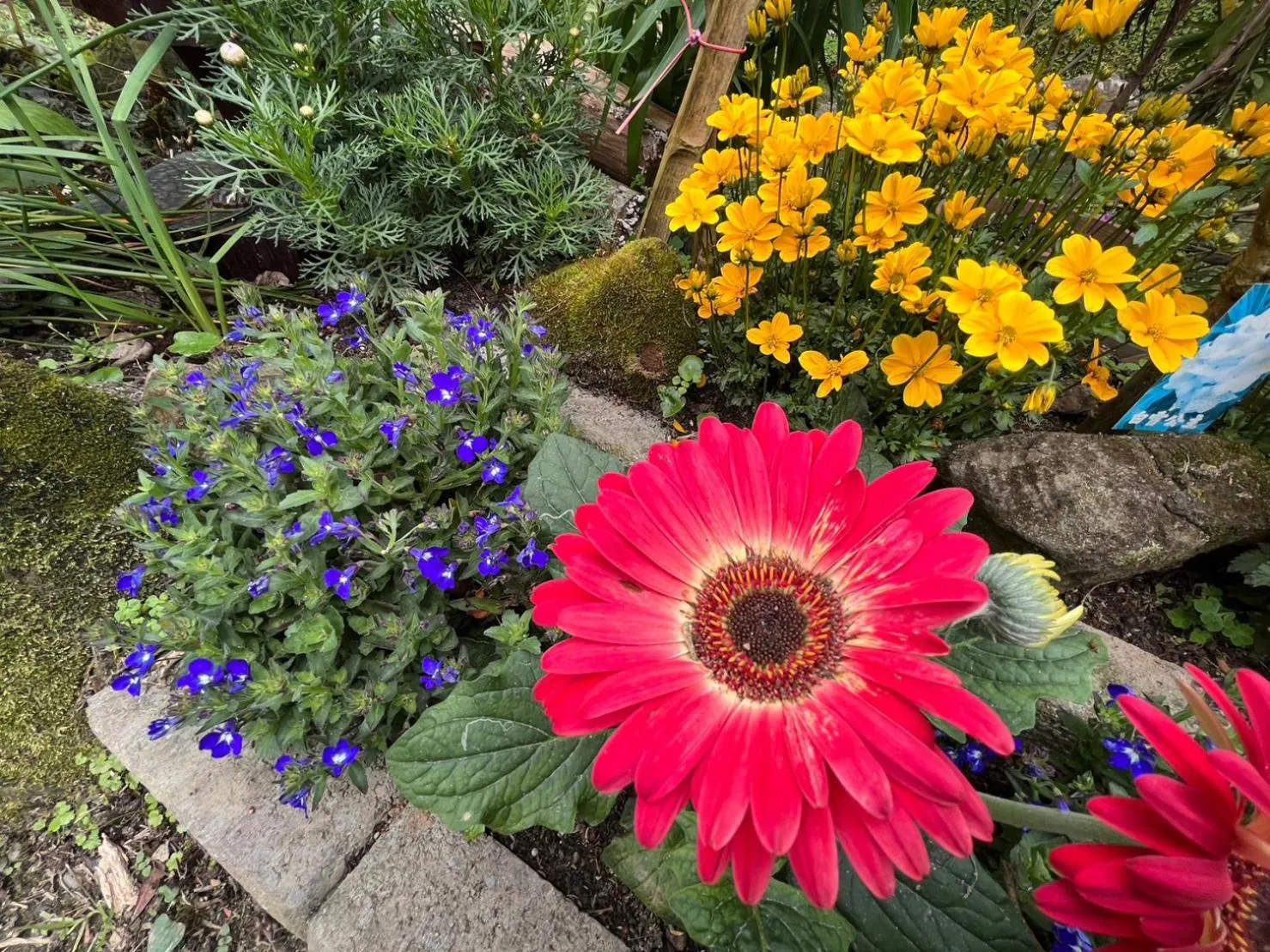 Garden view in Wen Qiao Villa