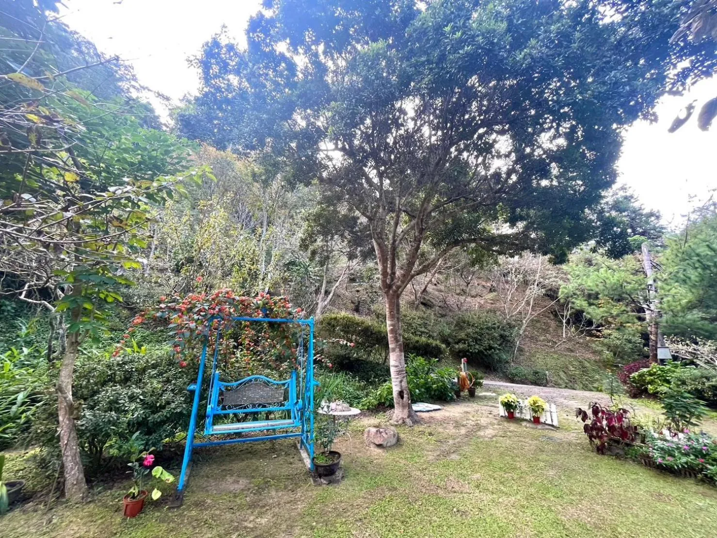 Garden view in Wen Qiao Villa
