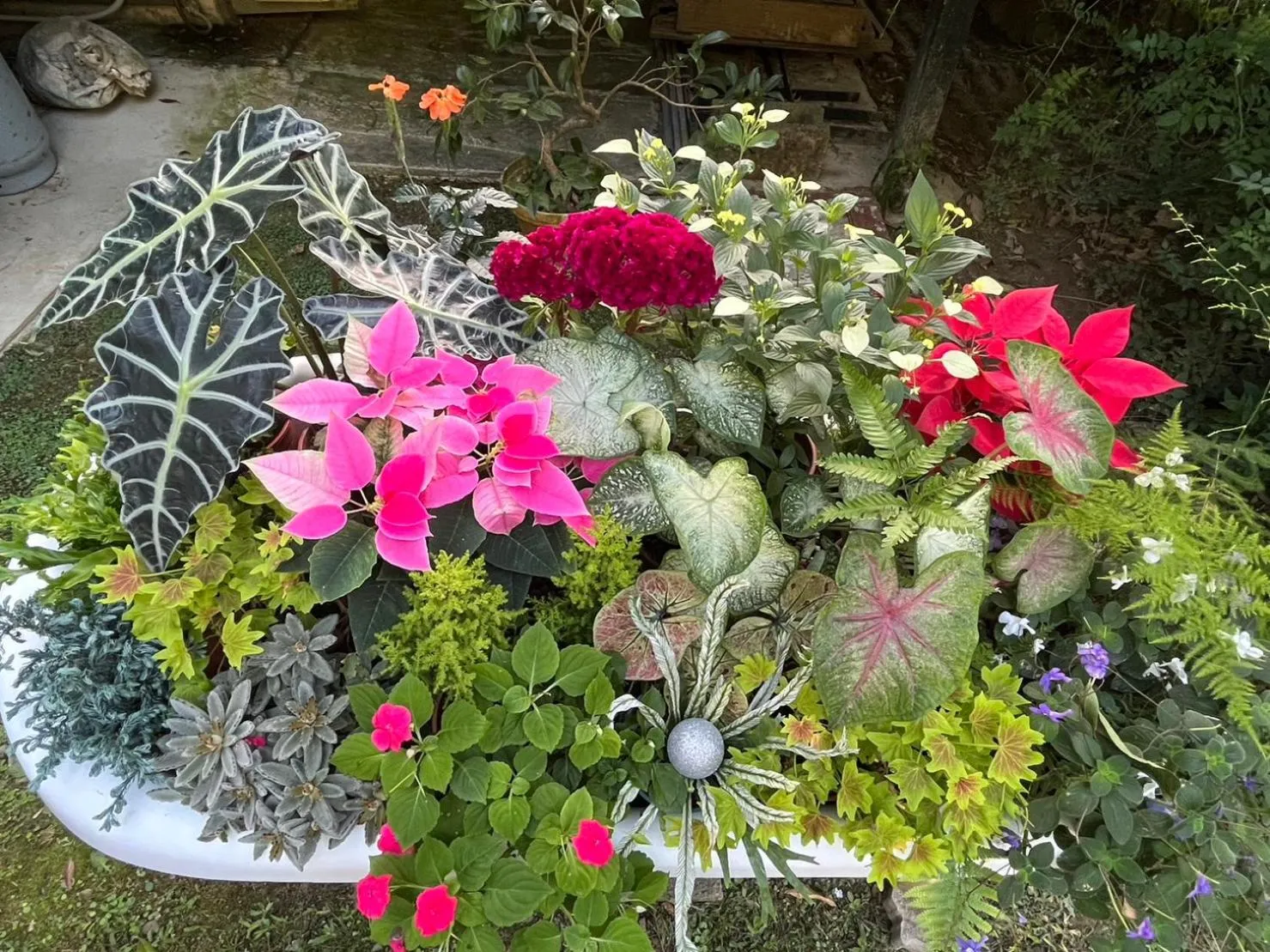 Garden view in Wen Qiao Villa