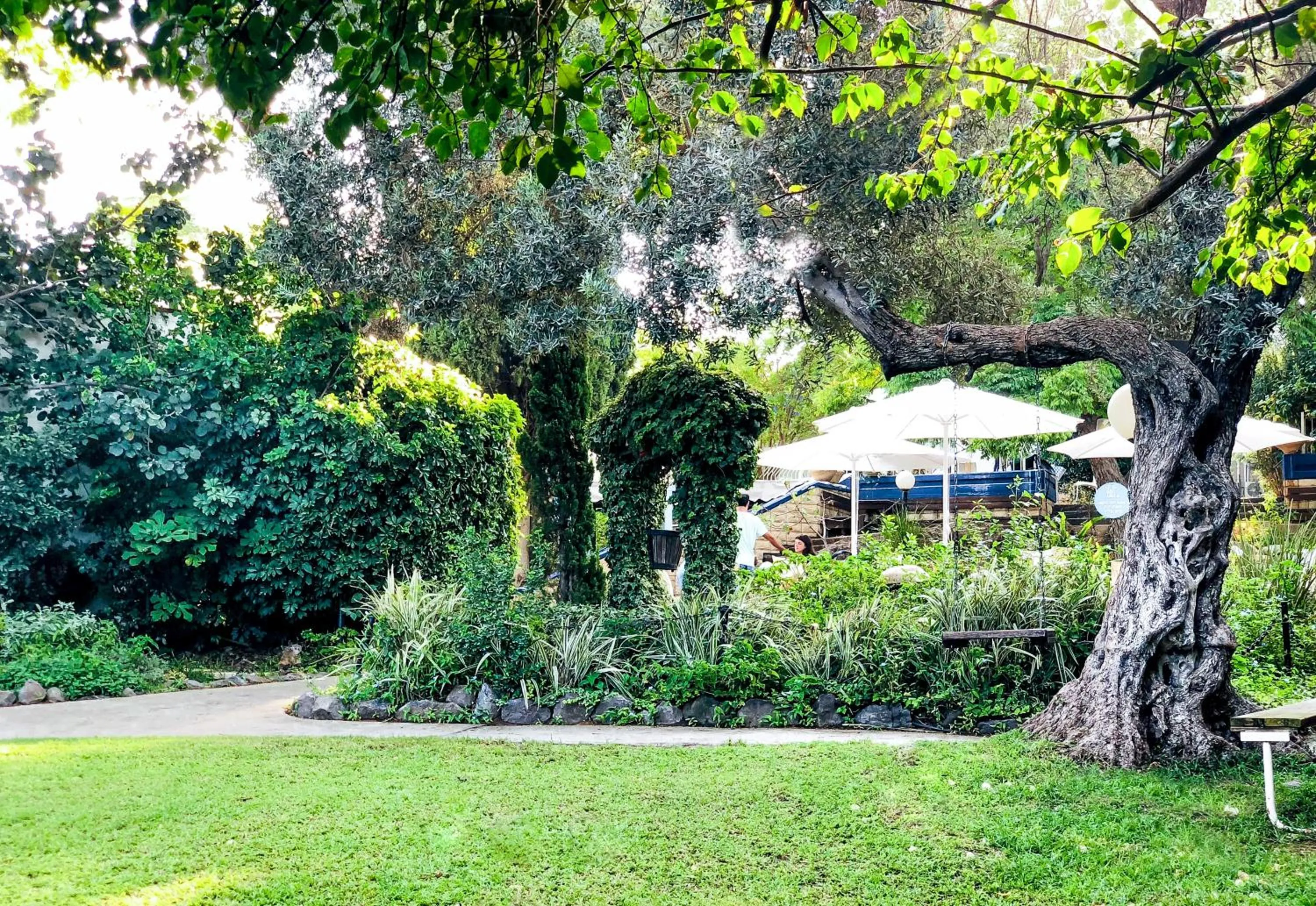 Garden in Travel Hotel Gesher Haziv