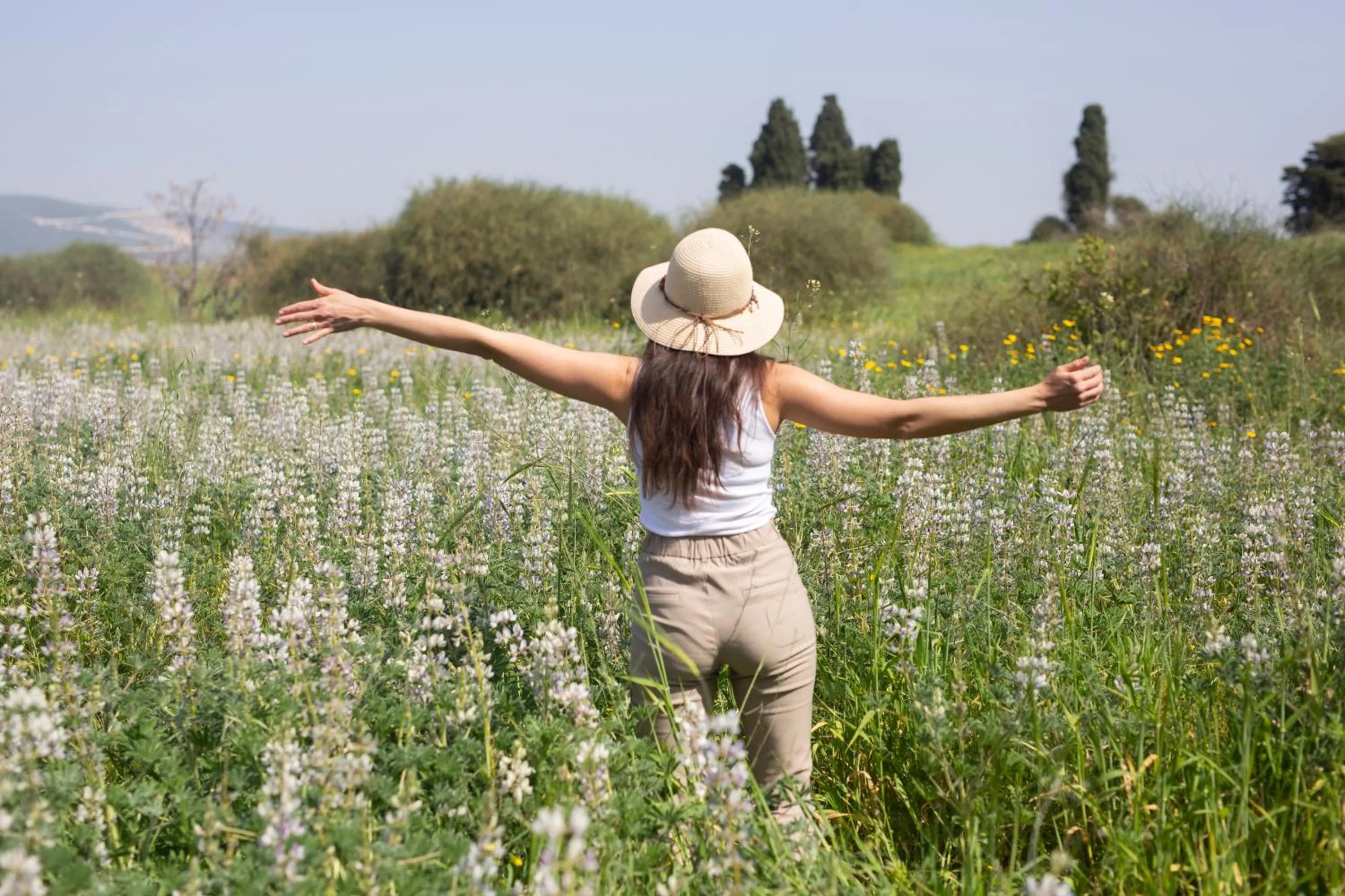 Garden in Travel Hotel Gesher Haziv