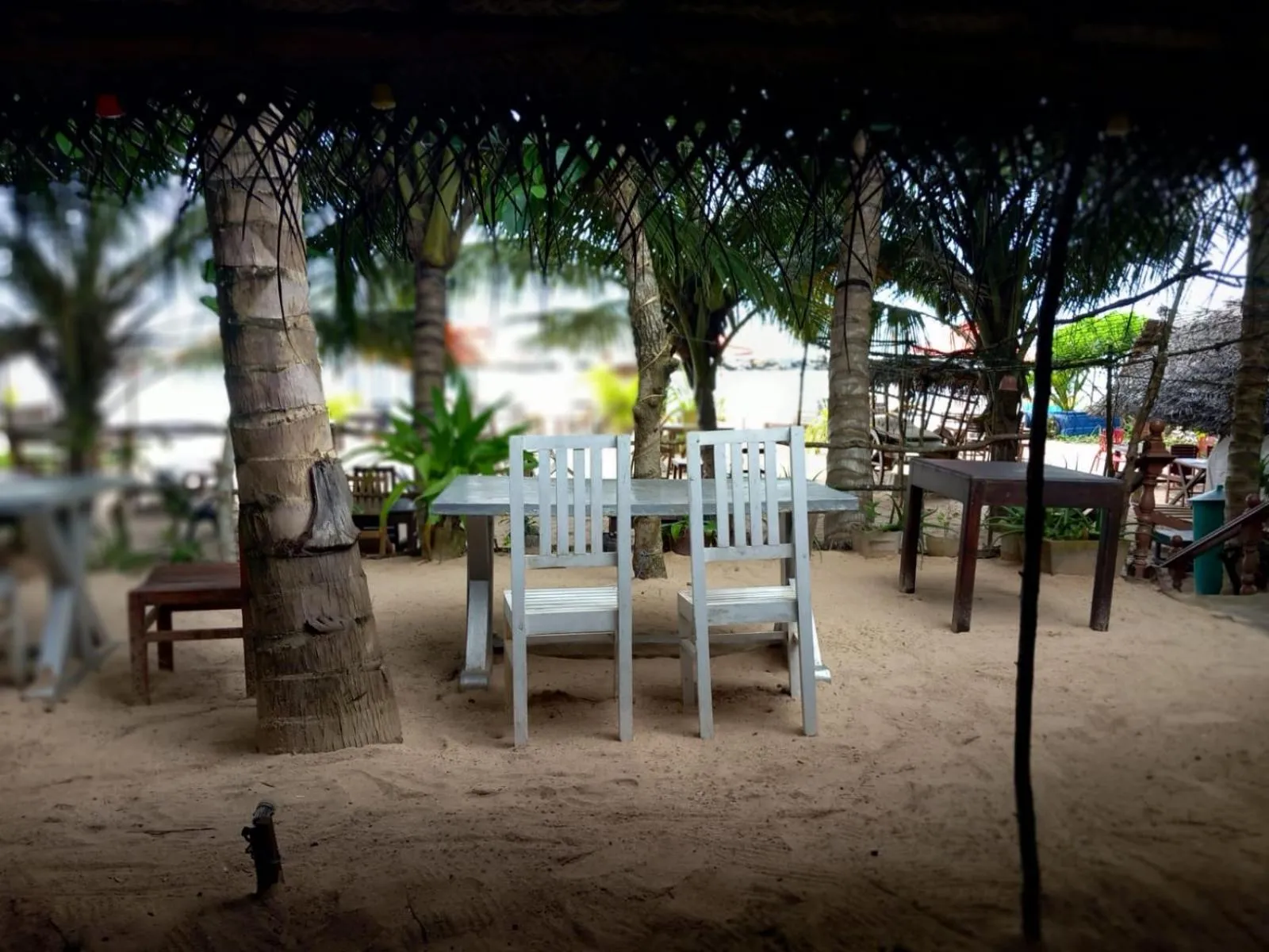 Blue Horizon Beach Hotel