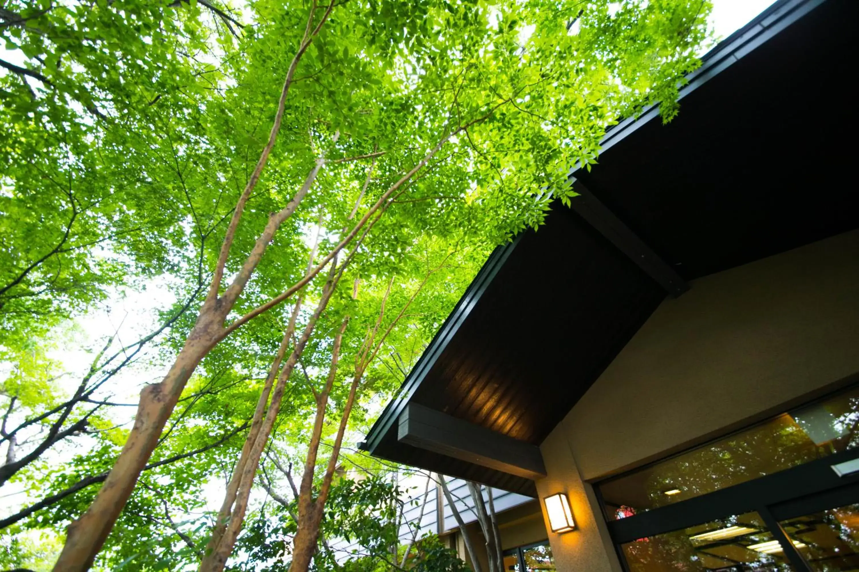 Property building in Yunosato Hayama Property building in Yunosato Hayama