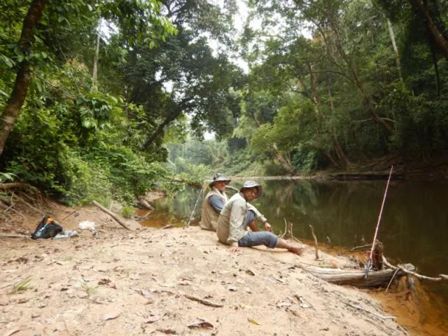 Fishing in Taman Negara River View Lodge