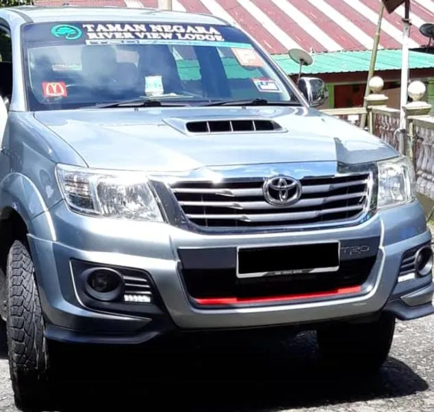 Taman Negara River View Lodge