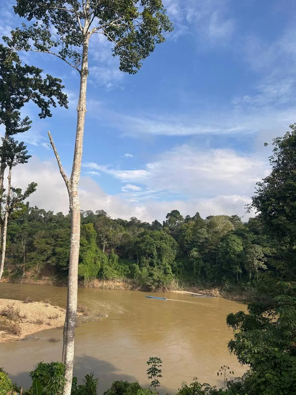 Taman Negara River View Lodge