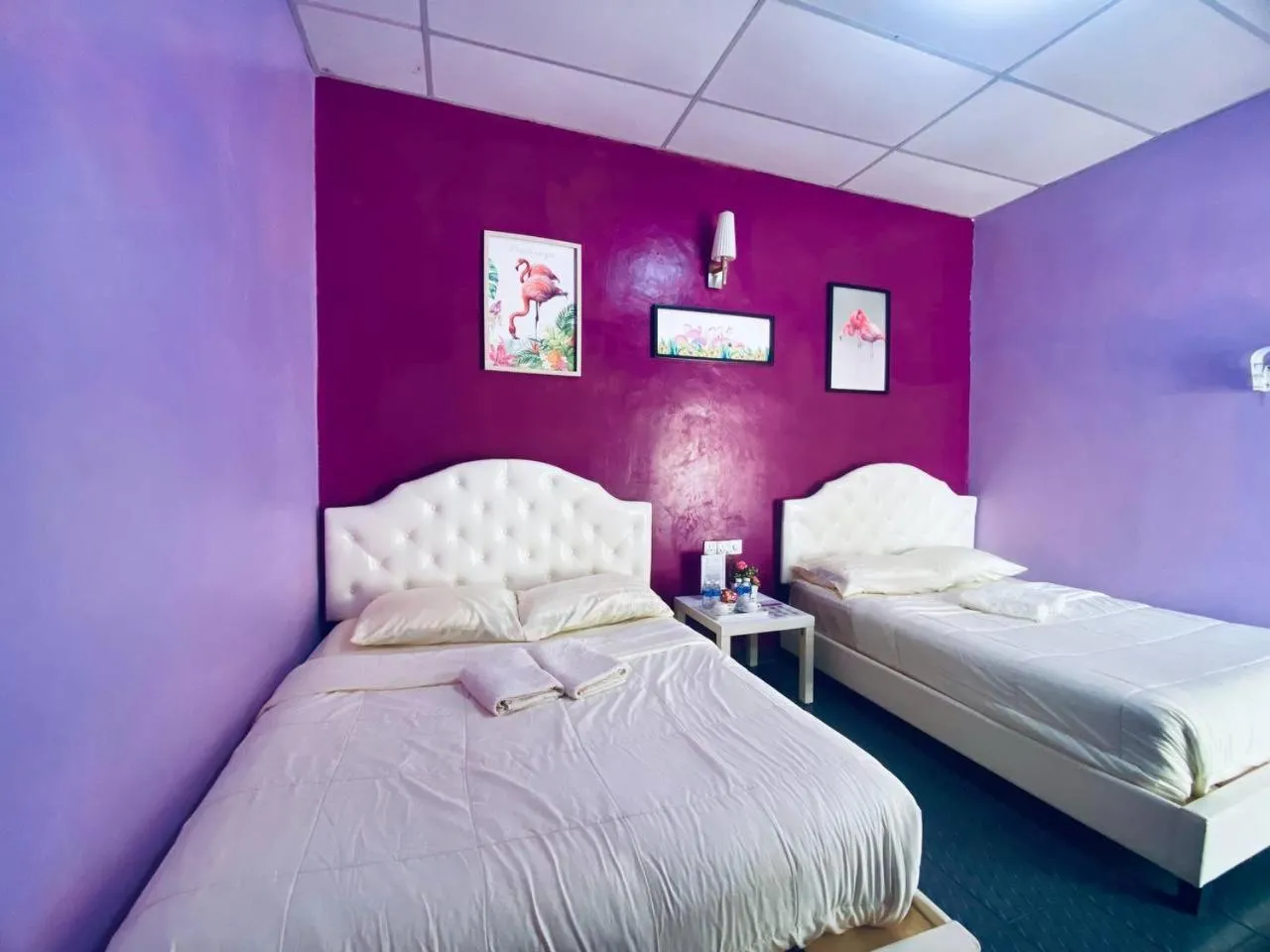 Taman Negara River View Lodge