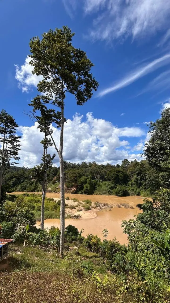 Day in Taman Negara River View Lodge