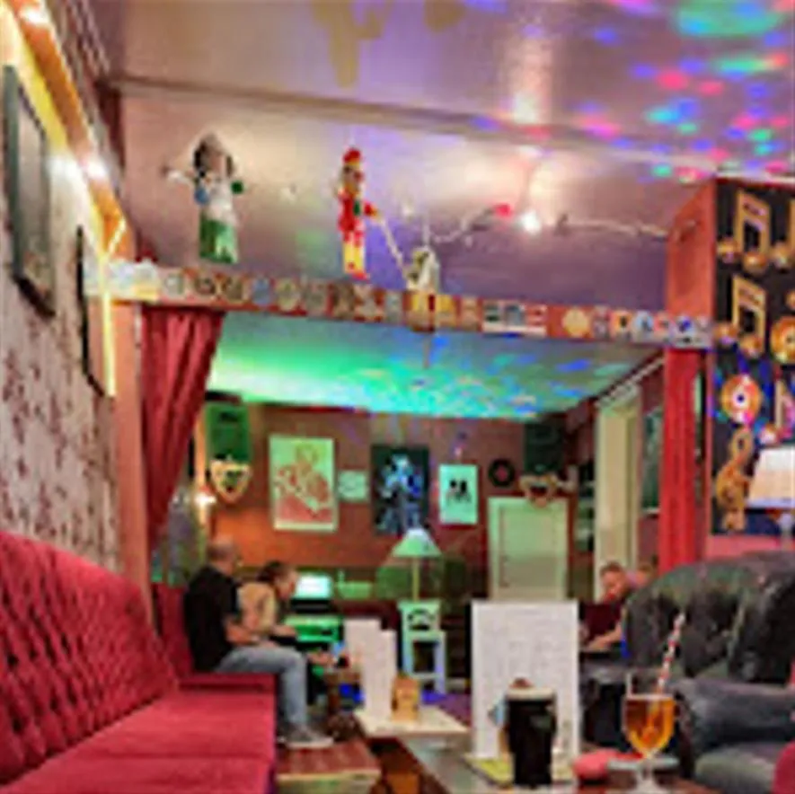 Karaoke in The Albert Hotel Near Winter Gardens