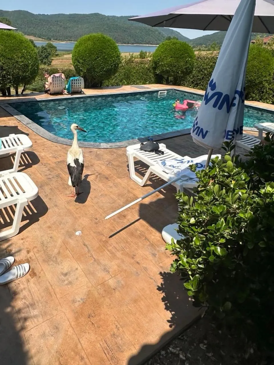 Complex Pristan in the mountain