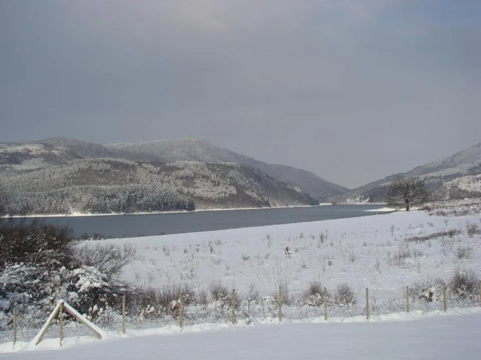 Complex Pristan in the mountain