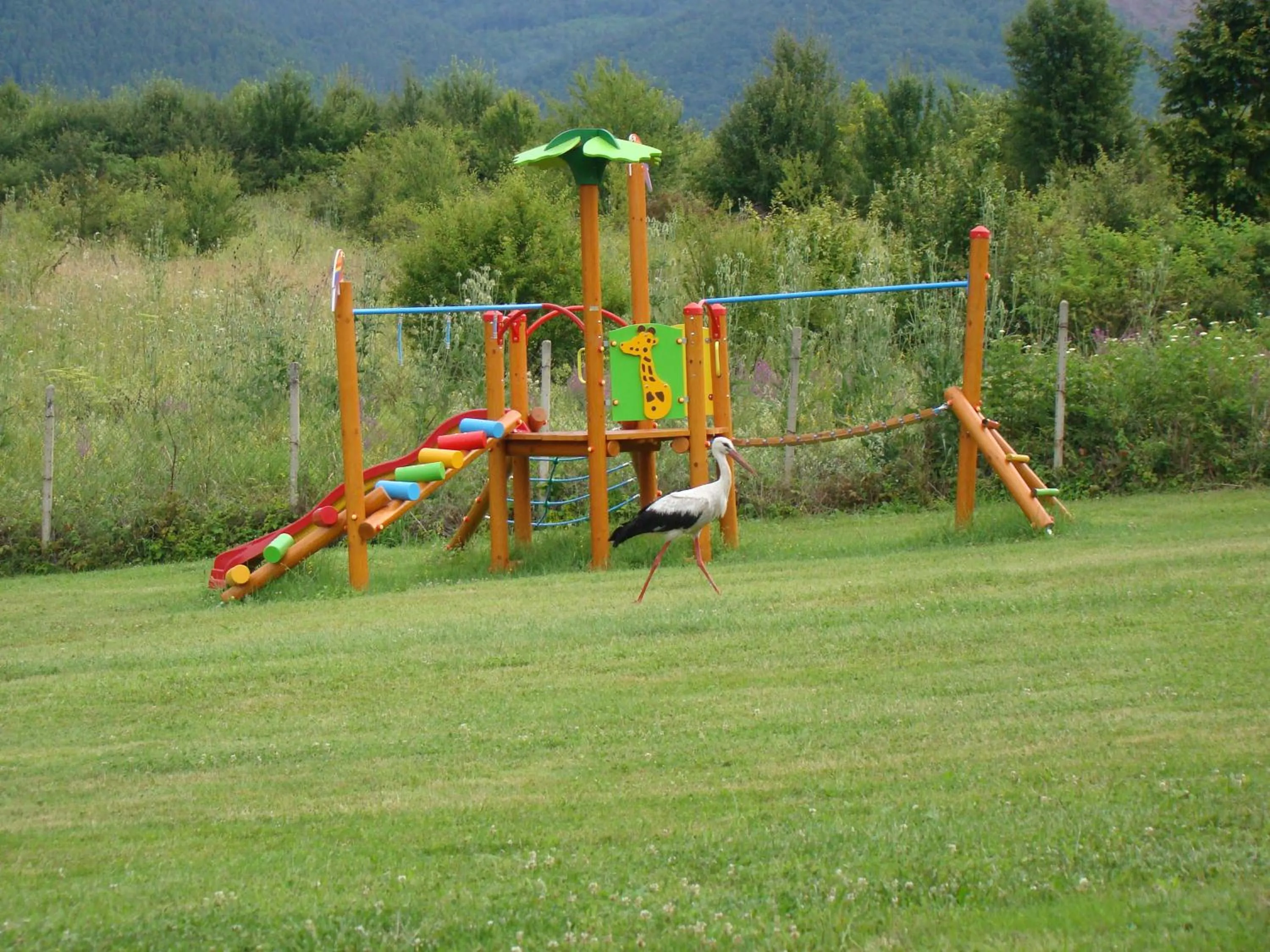 Complex Pristan in the mountain