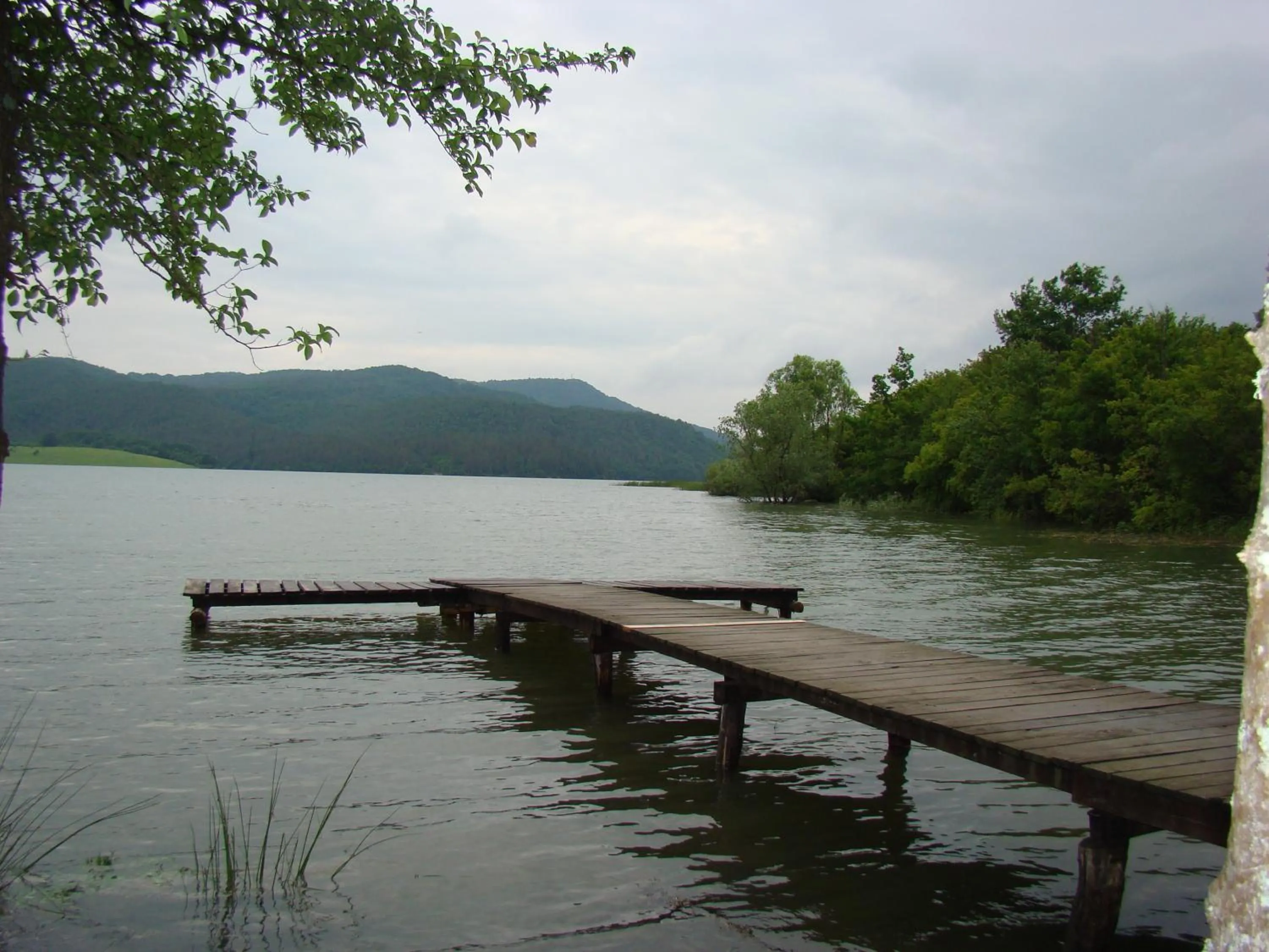 Fishing in Complex Pristan in the mountain