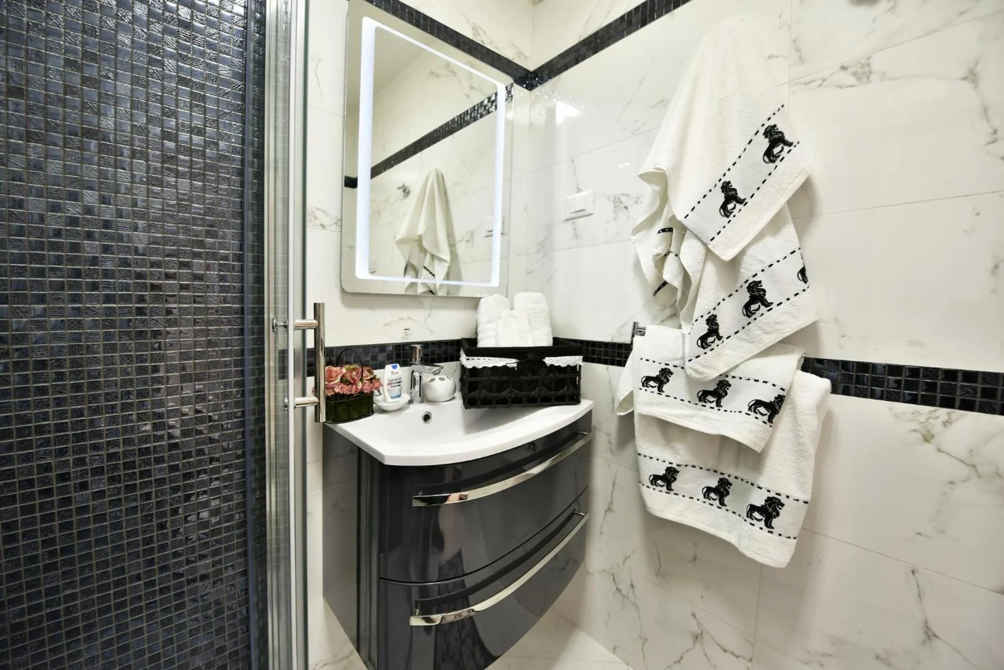 Shower in Apartment Markovski