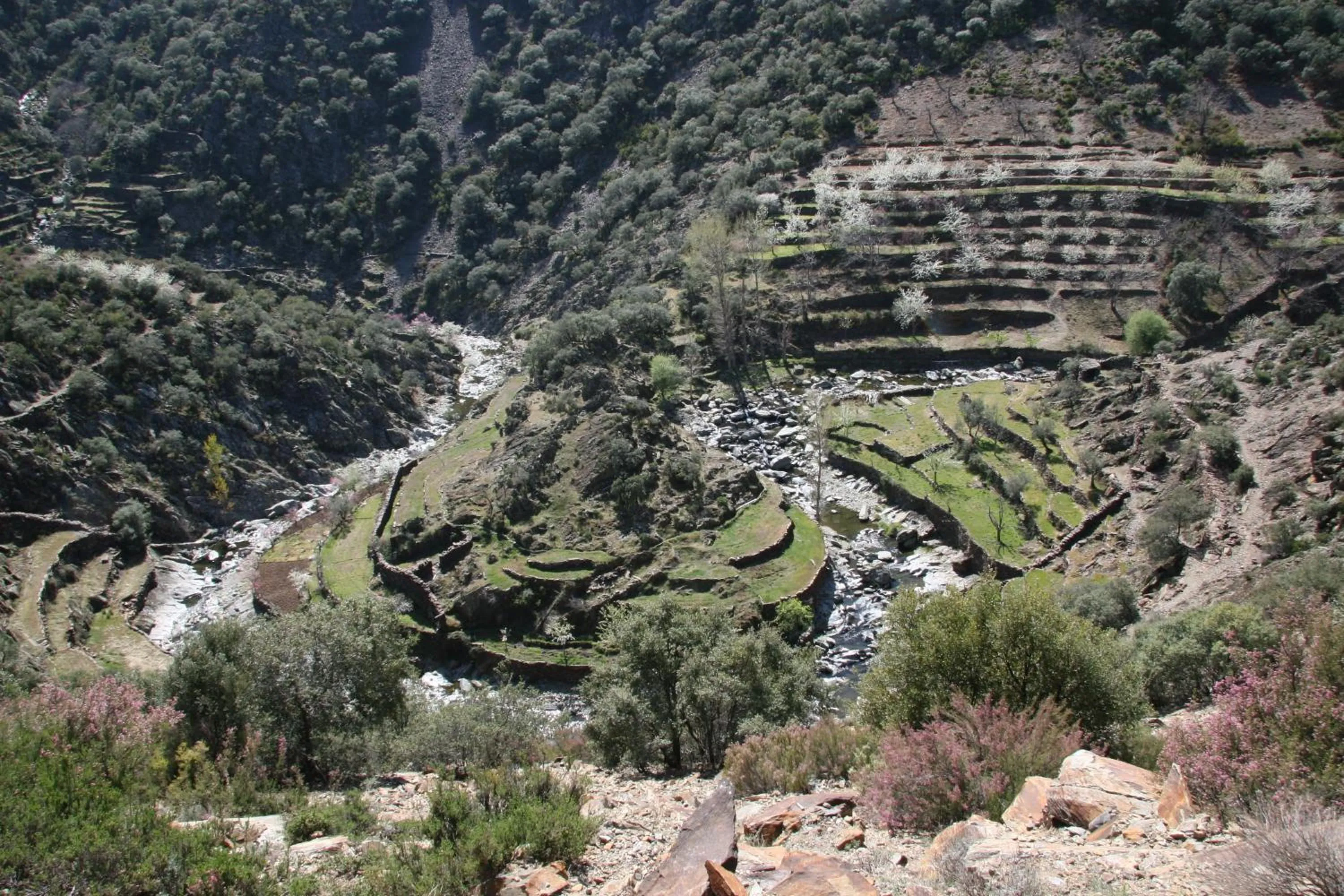 Area and facilities in La Posada del Casar