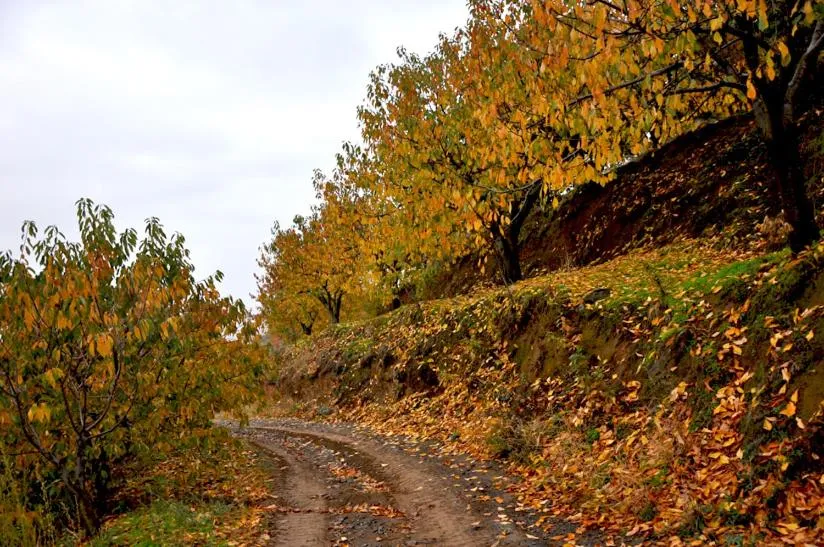Hiking in La Posada del Casar
