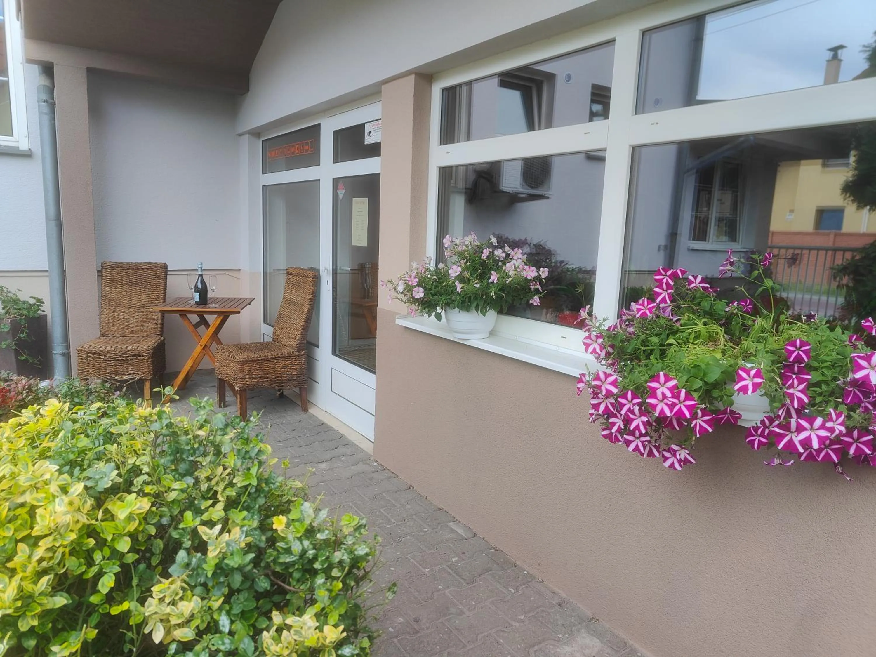 Garden in Hotel Orlan