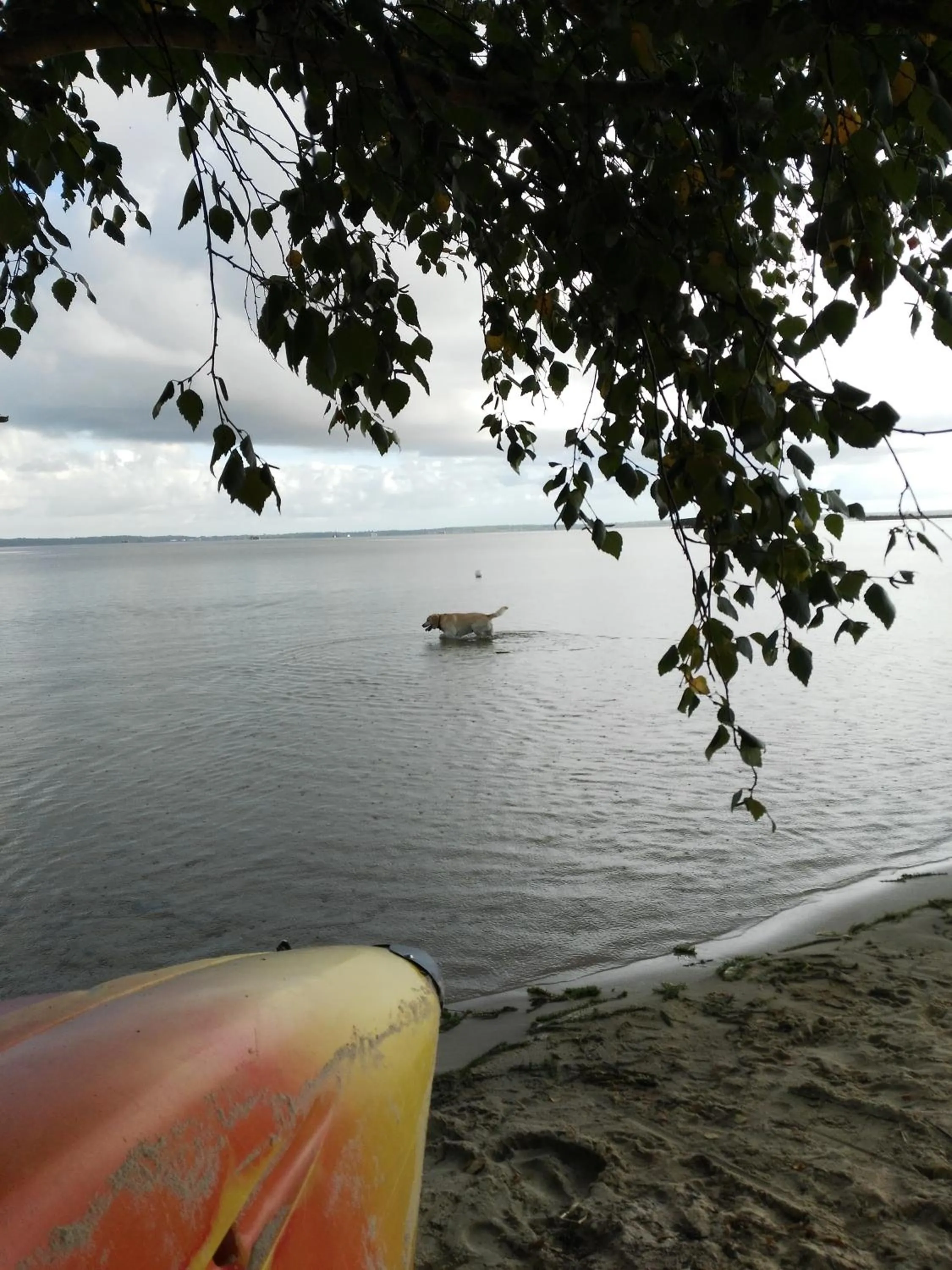 Natural landscape in MOBIL HOME 43 dans Camping 4 Etoiles