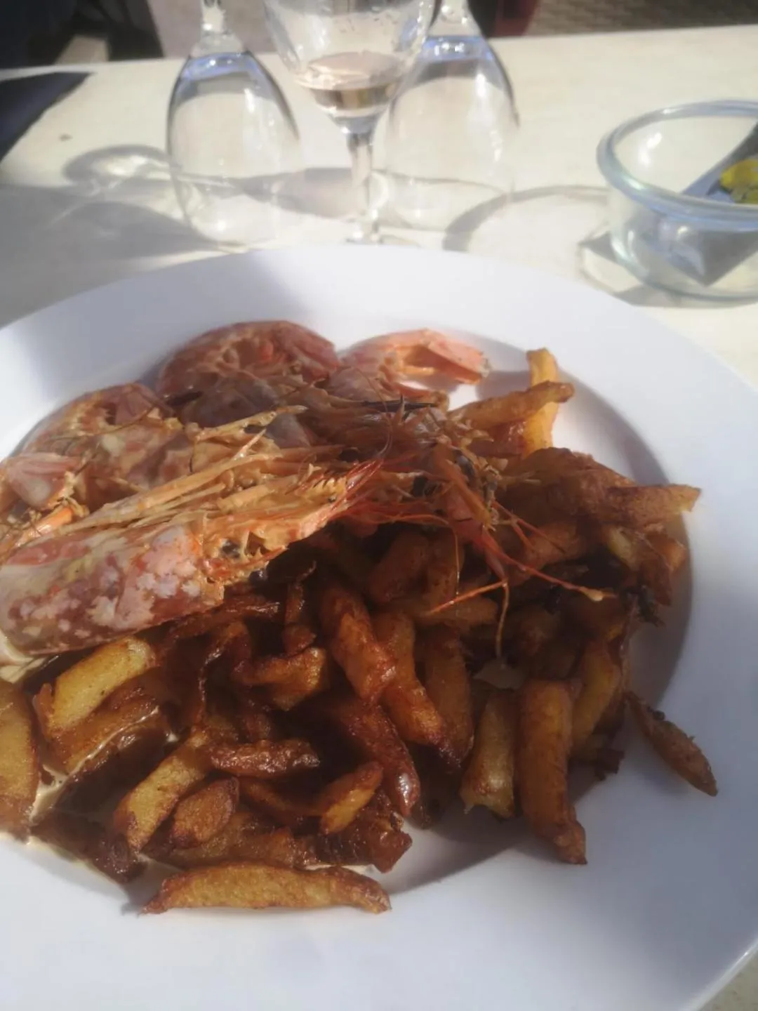 MOBIL HOME 43 dans Camping 4 Etoiles