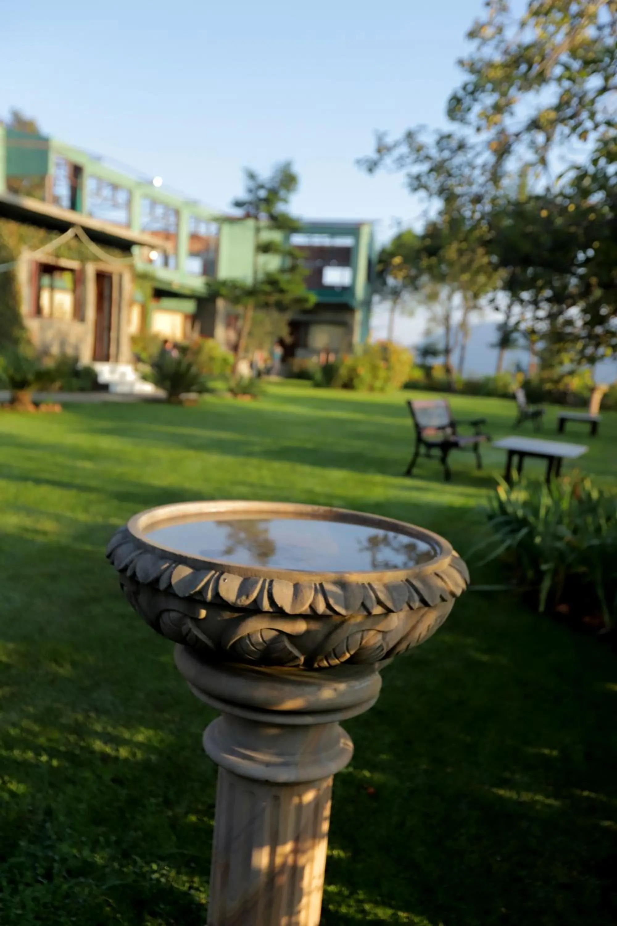 Natural landscape in Cedar Lodge By Aahma