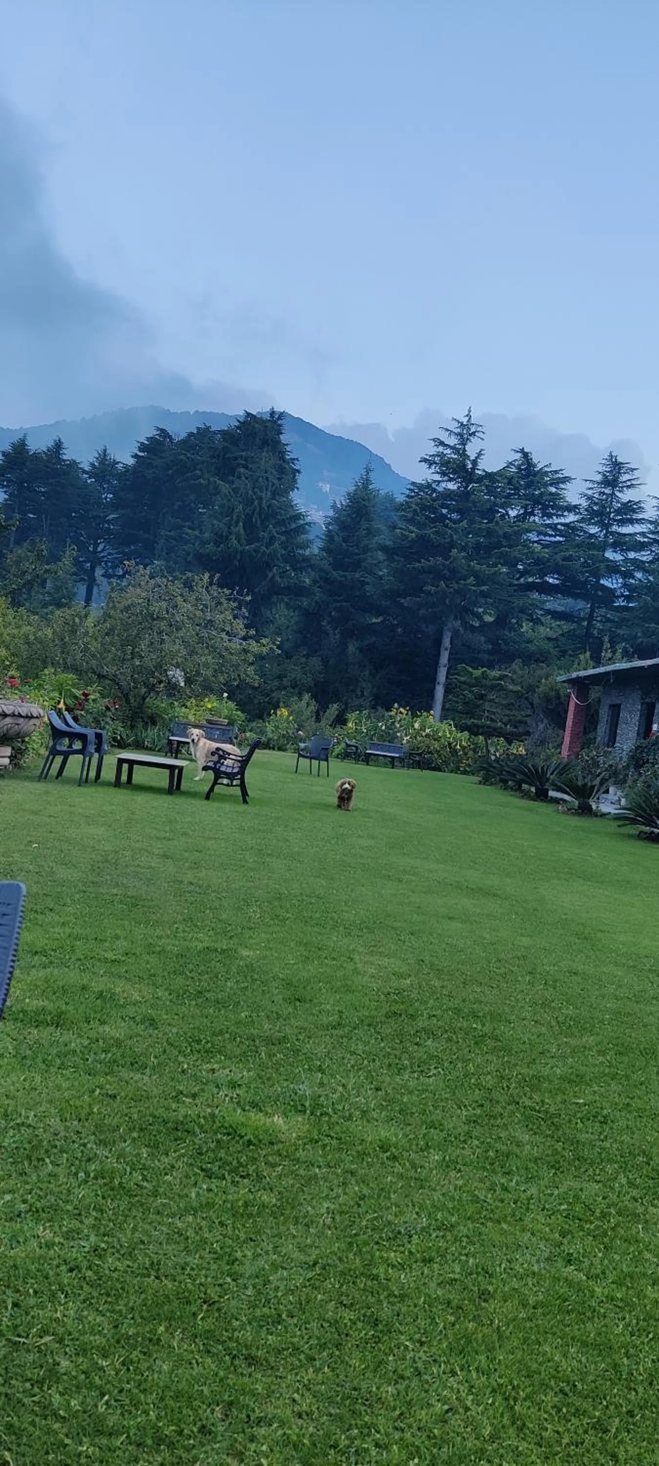 Garden view in Cedar Lodge By Aahma