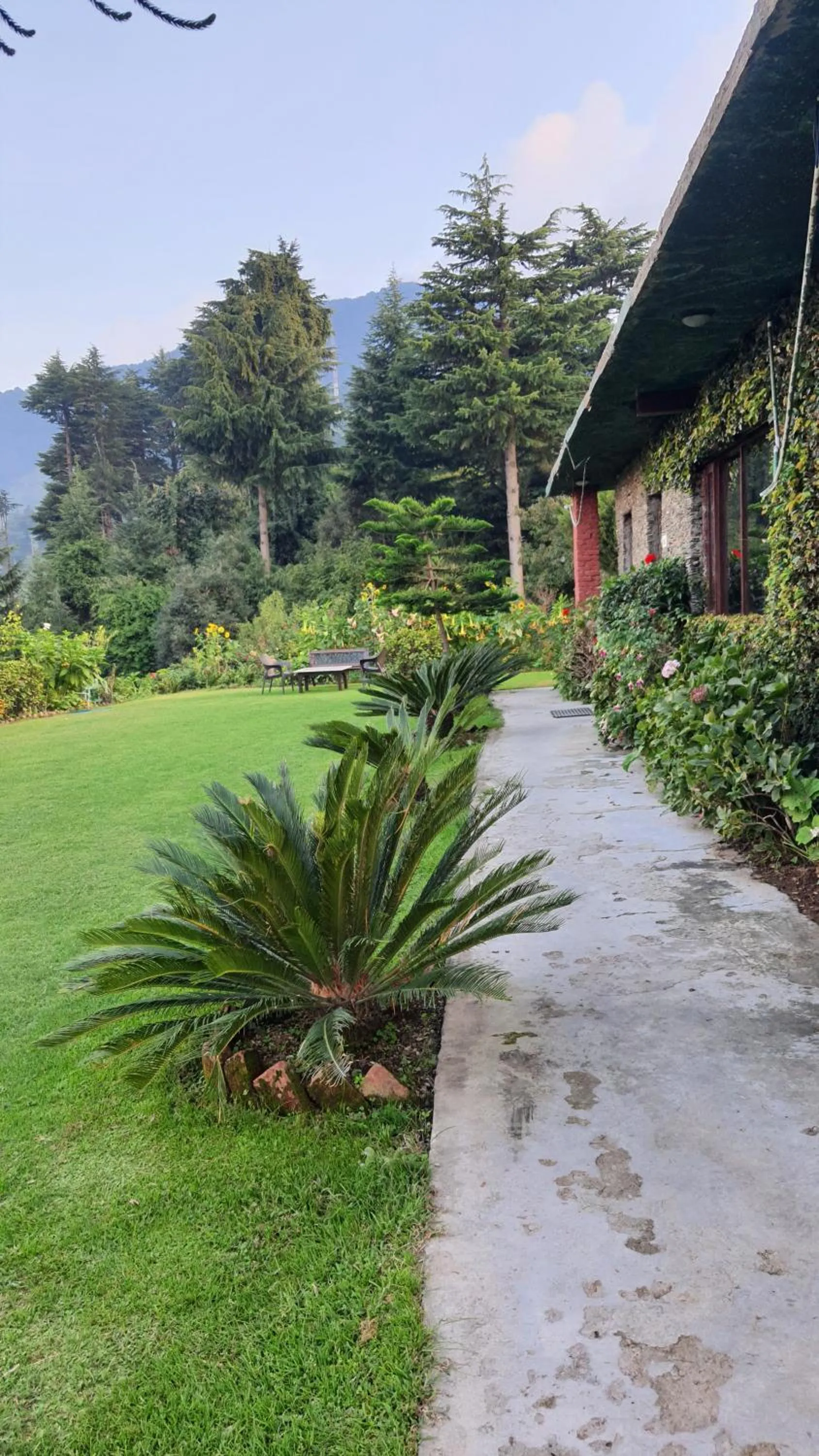 Property building in Cedar Lodge By Aahma