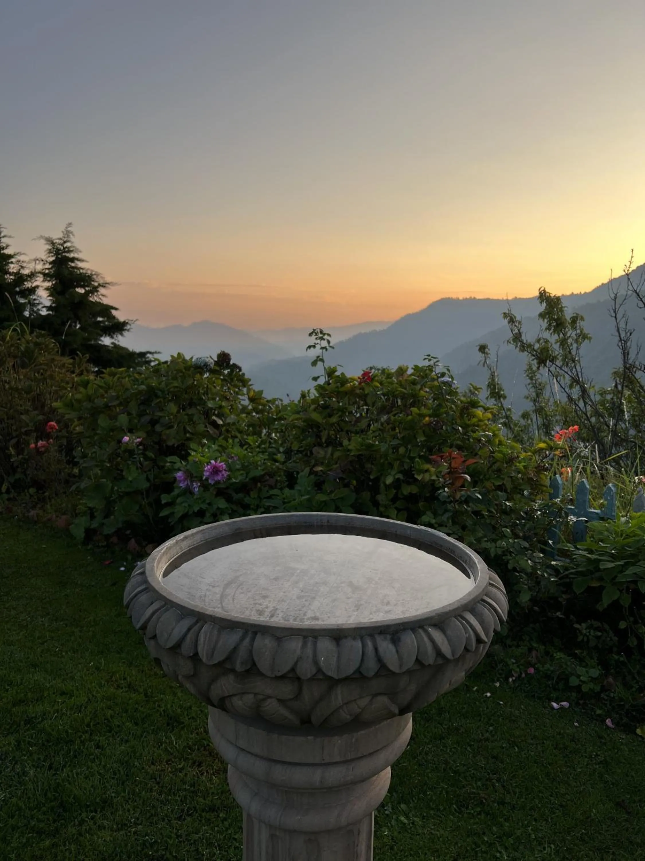 Garden view in Cedar Lodge By Aahma