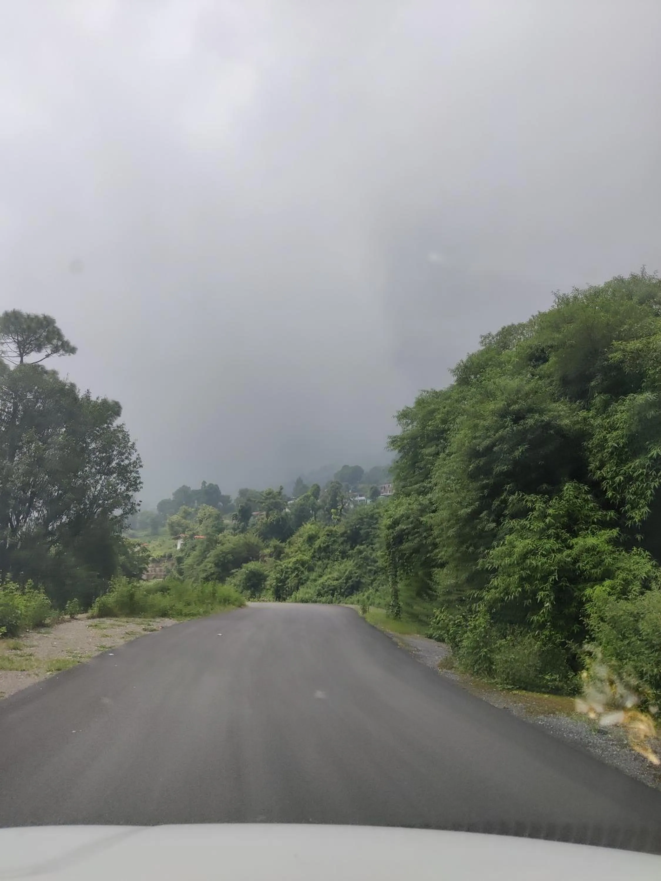 Natural landscape in Cedar Lodge By Aahma