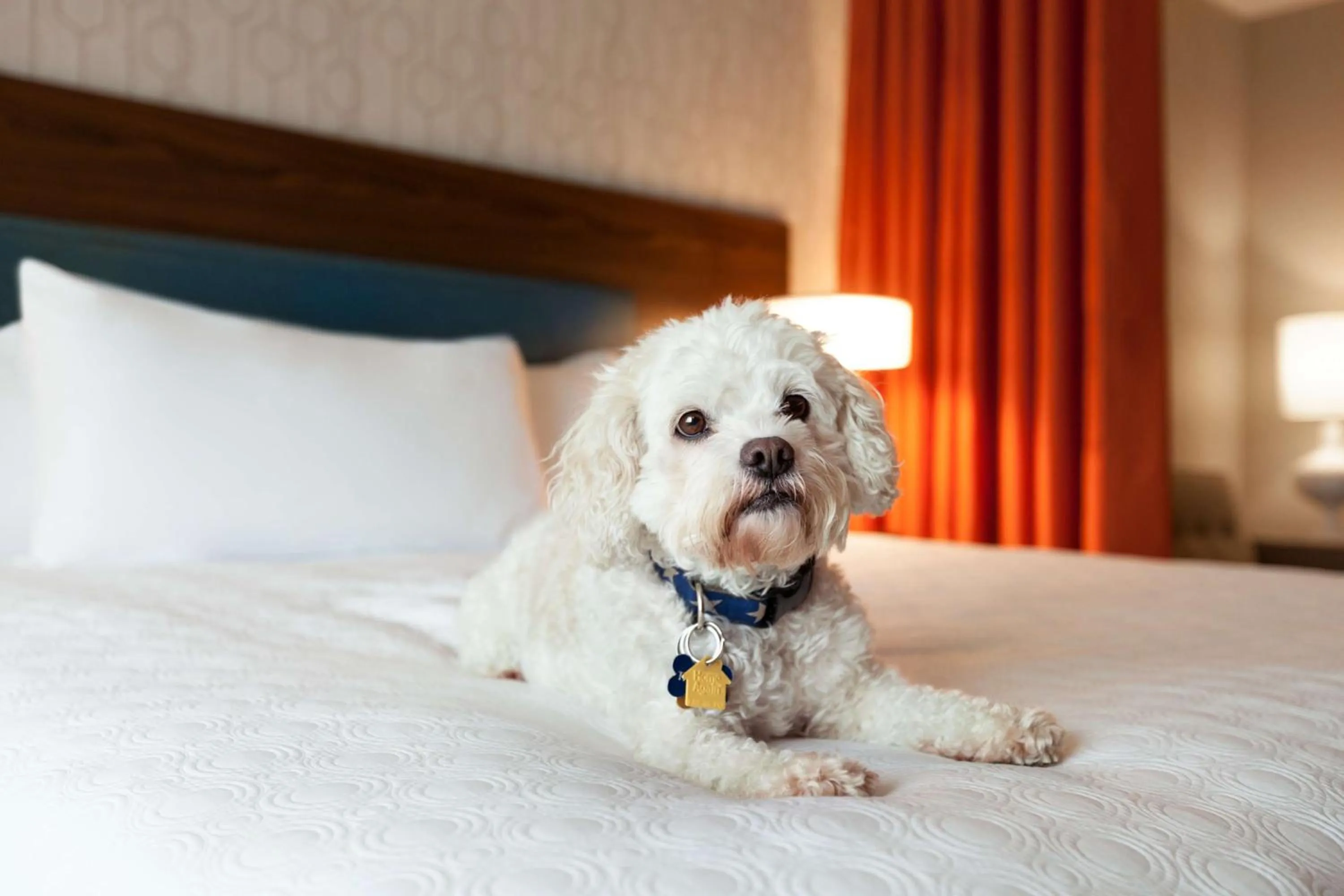 Bed in Home2 Suites By Hilton Mt Pleasant Charleston