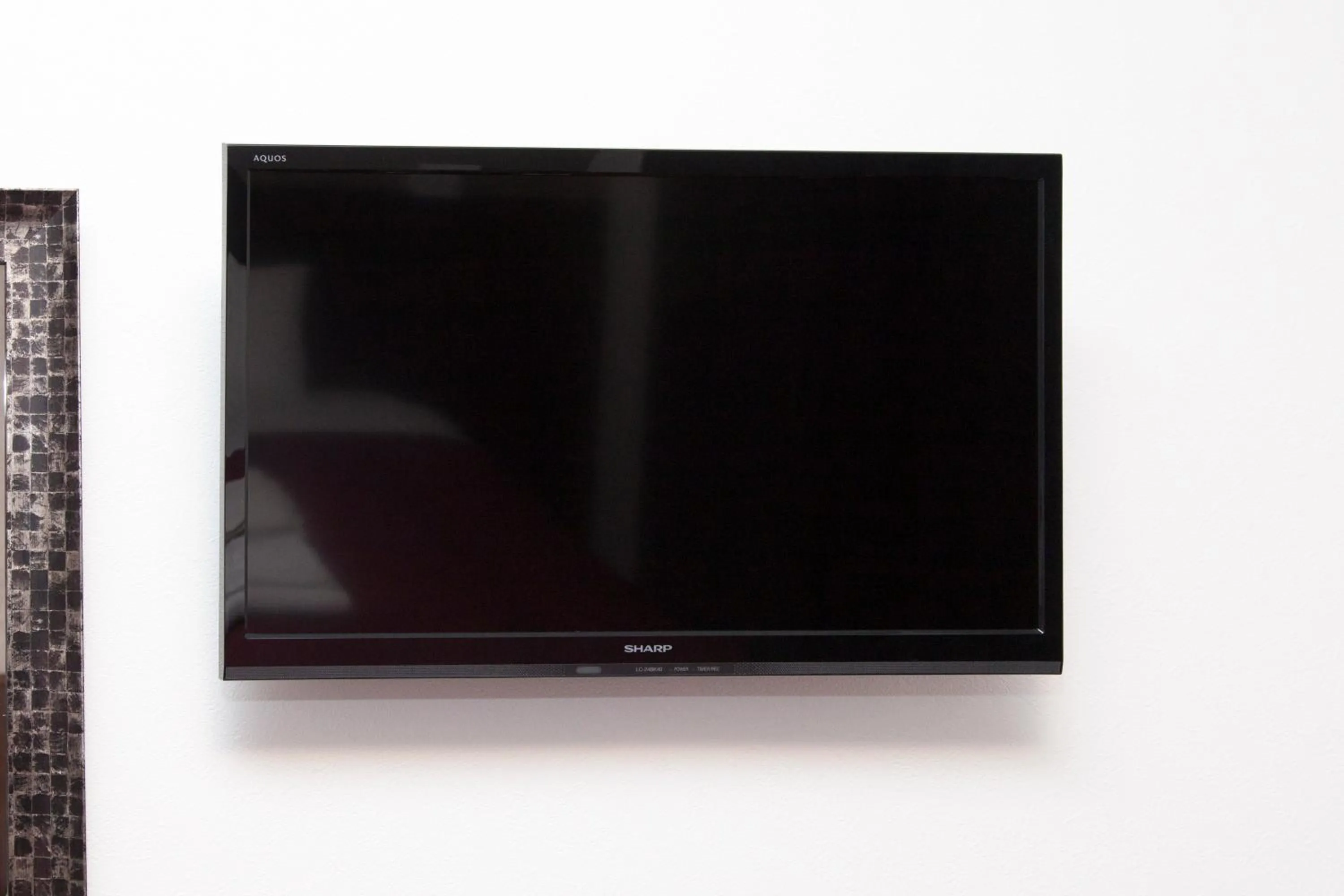 TV and multimedia in Global Resort Miyajima View