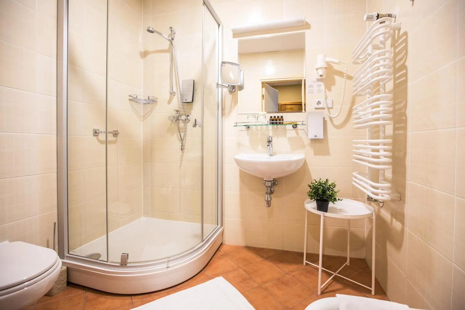 Bathroom in Baltvilla