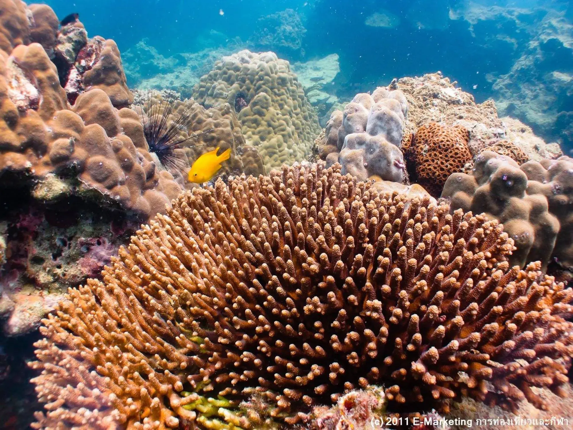 Property building in Fisherman's Hut , ขนำชาวเลโฮมสเตย์ Property building in Fisherman's Hut , ขนำชาวเลโฮมสเตย์