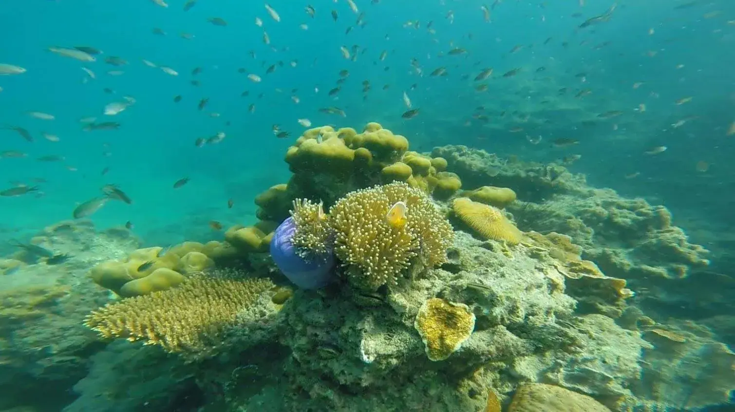 Property building in Fisherman's Hut , ขนำชาวเลโฮมสเตย์ Property building in Fisherman's Hut , ขนำชาวเลโฮมสเตย์