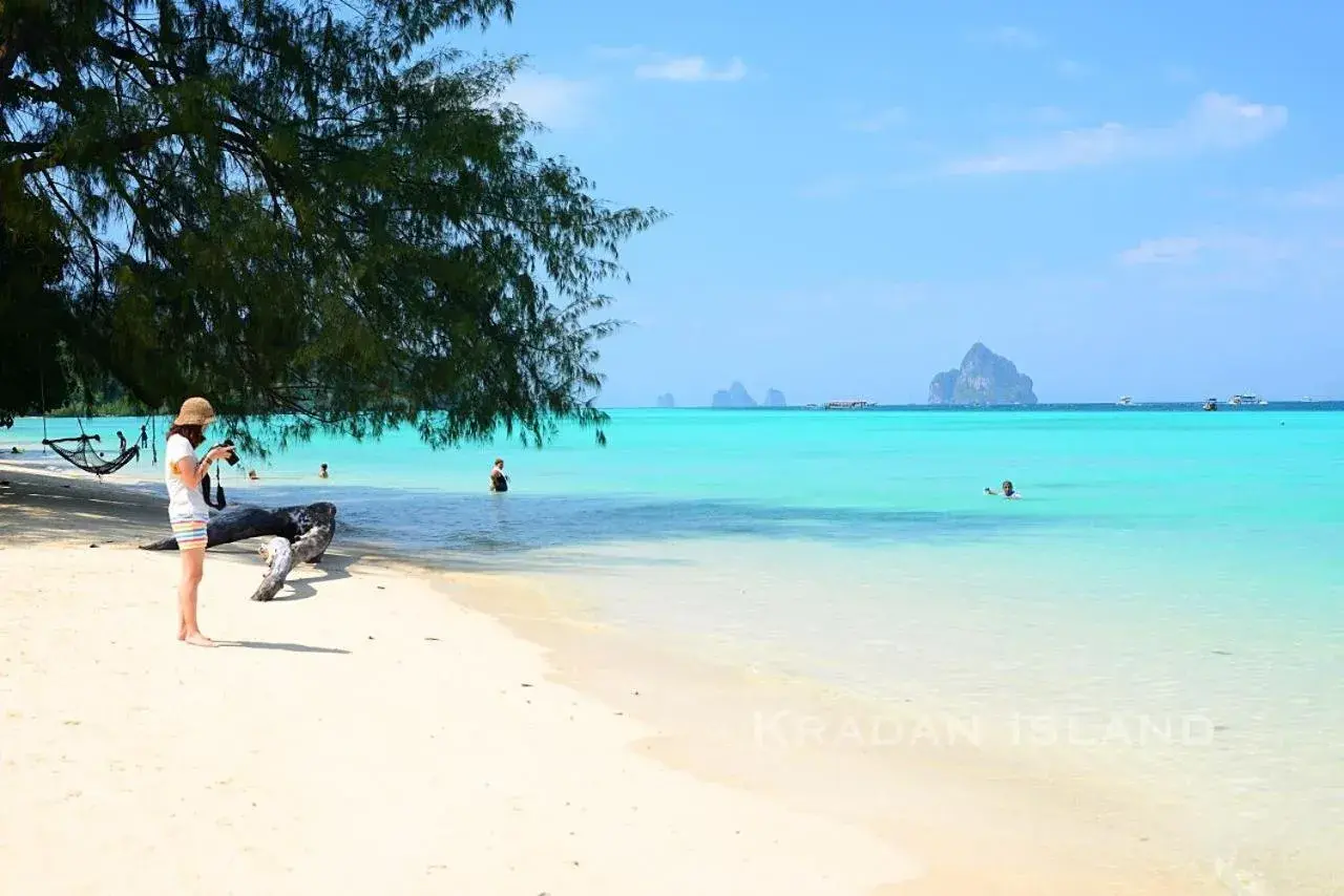 Property building in Fisherman's Hut , ขนำชาวเลโฮมสเตย์ Property building in Fisherman's Hut , ขนำชาวเลโฮมสเตย์