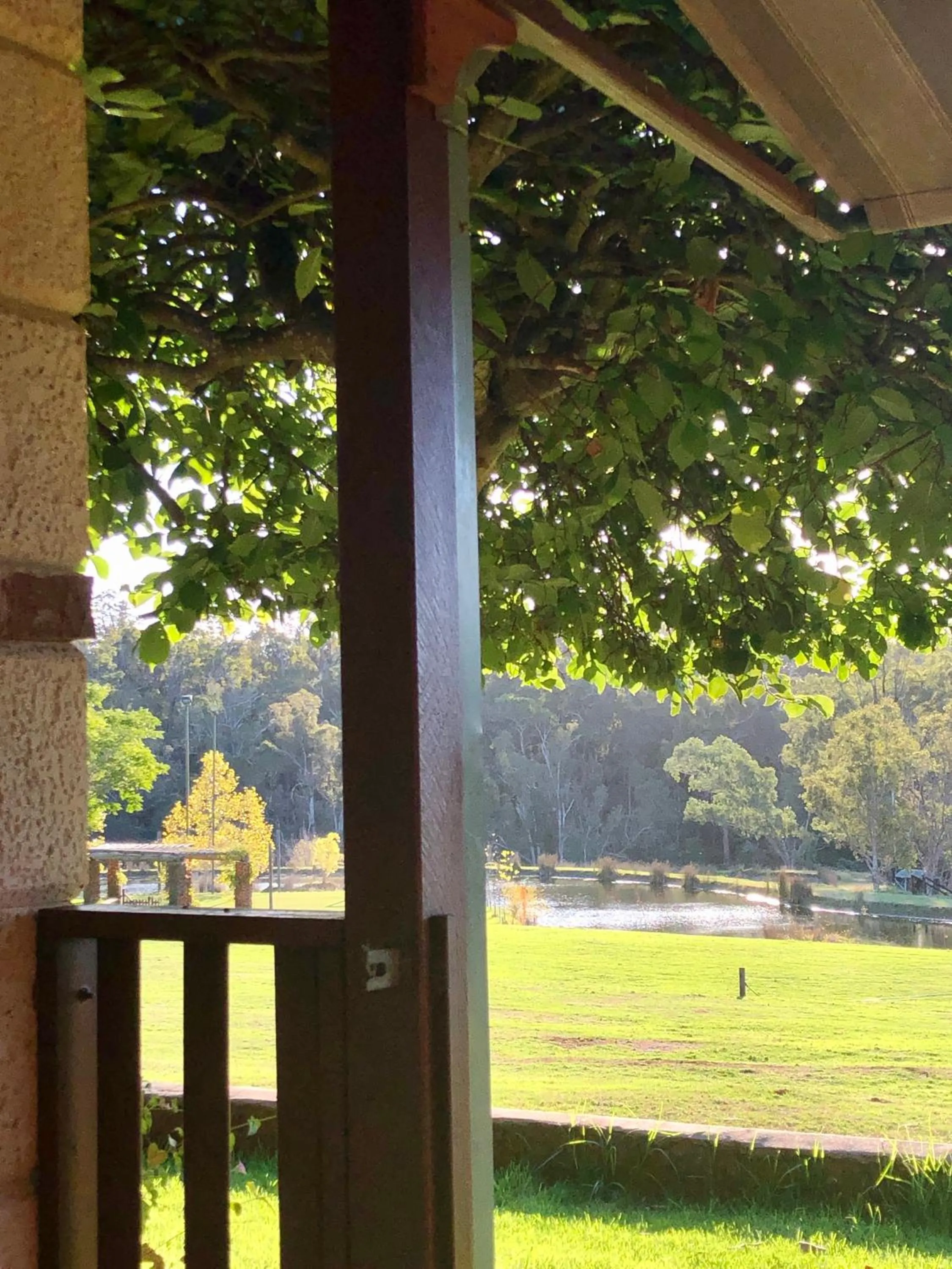Garden view in Clover Cottage Country Retreat