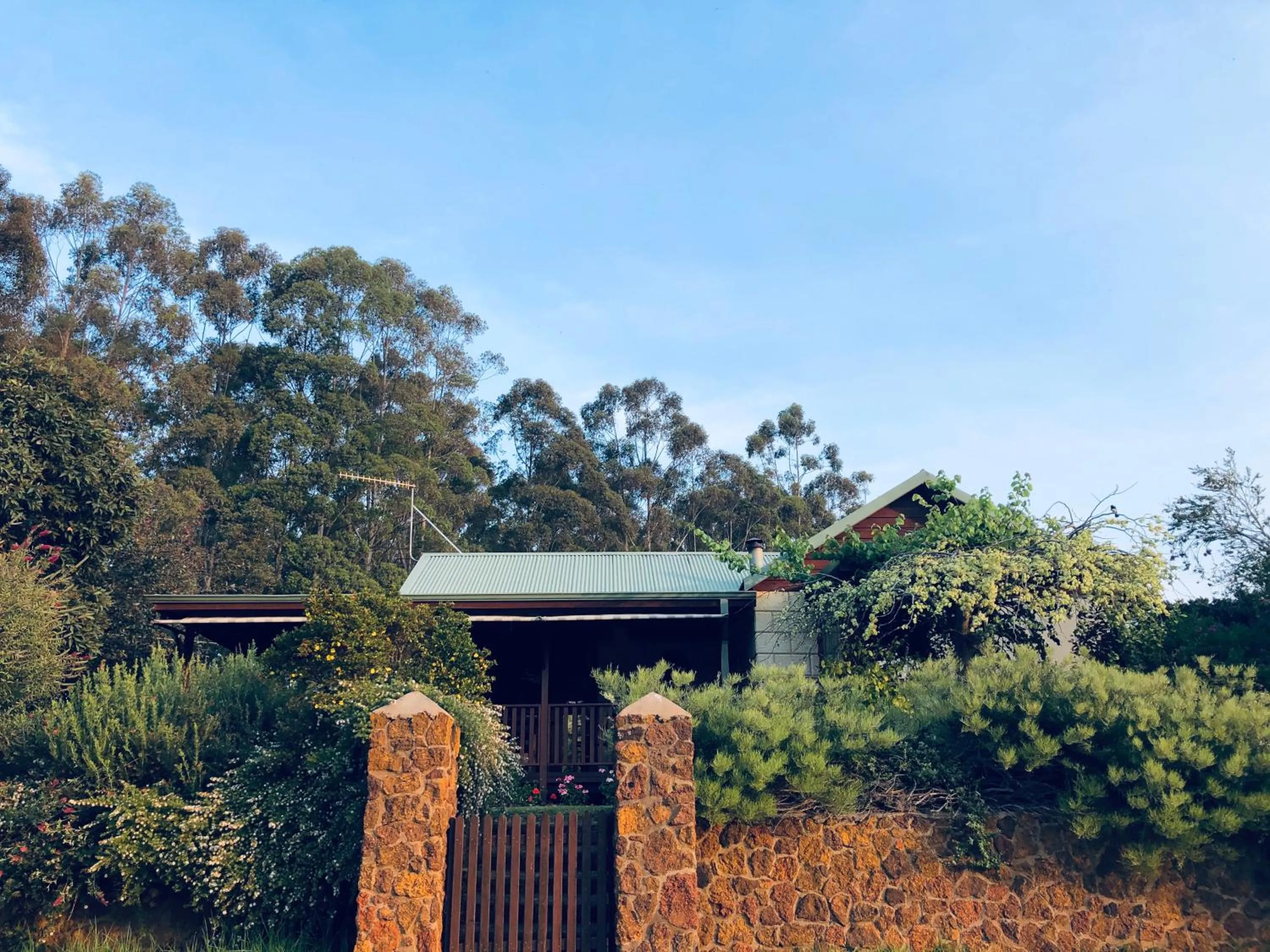 Garden in Clover Cottage Country Retreat