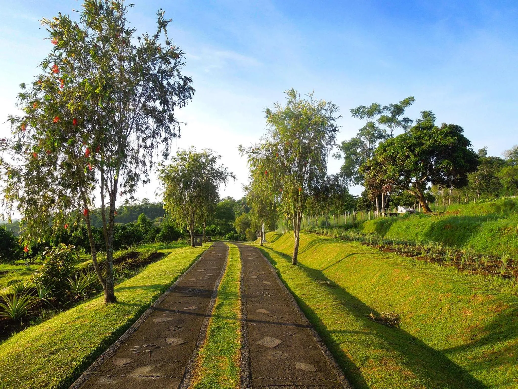 Natural landscape in Bagus Agro Pelaga