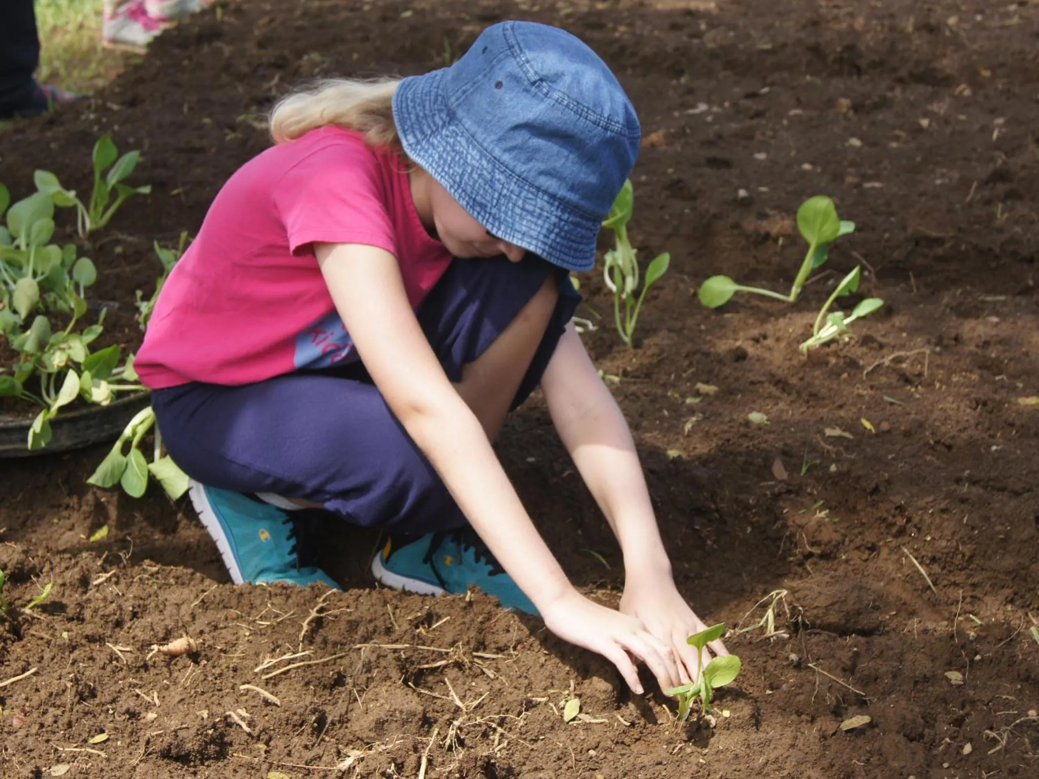 Natural landscape in Bagus Agro Pelaga