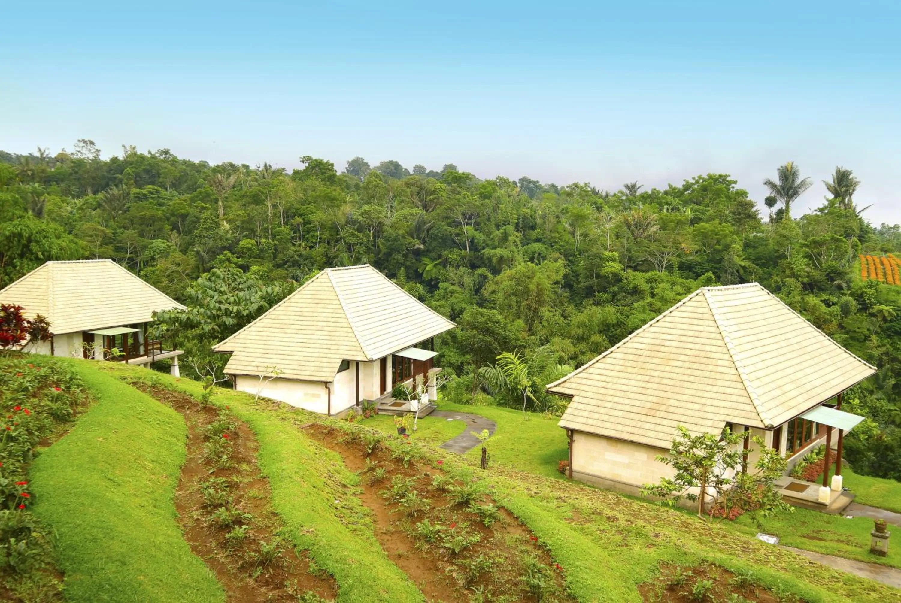 Property building in Bagus Agro Pelaga