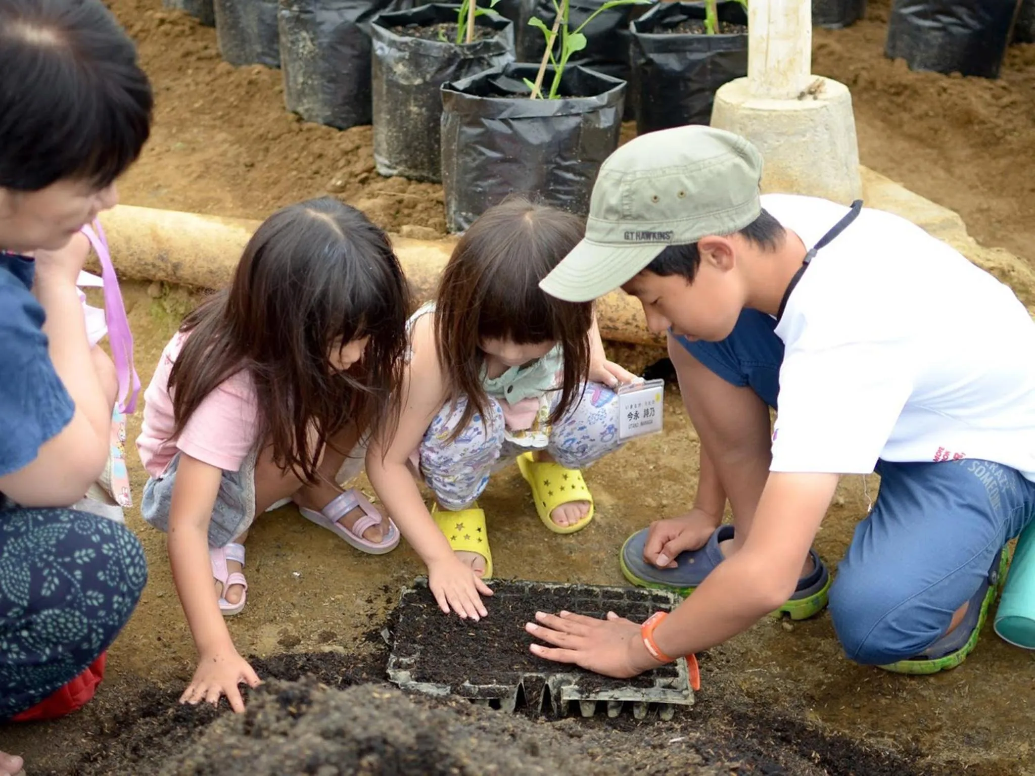 Natural landscape in Bagus Agro Pelaga