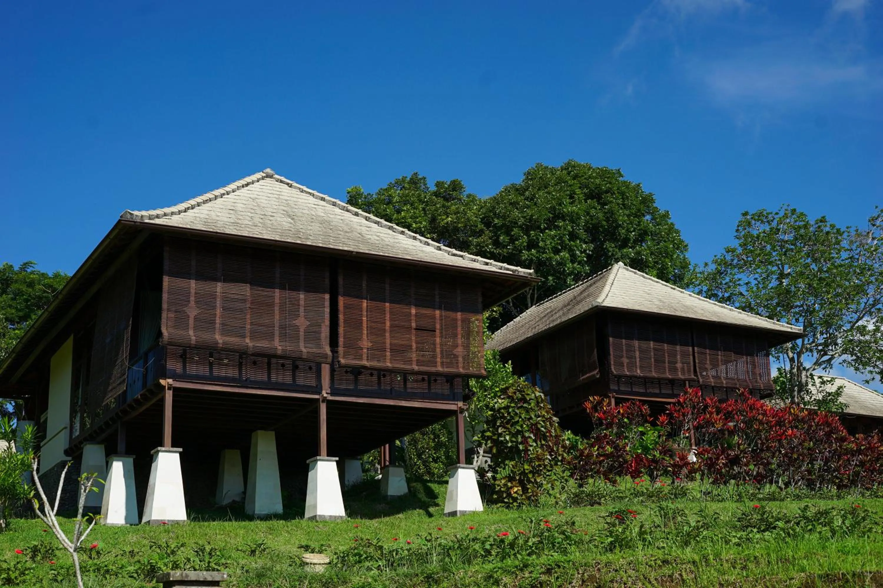 Spring in Bagus Agro Pelaga