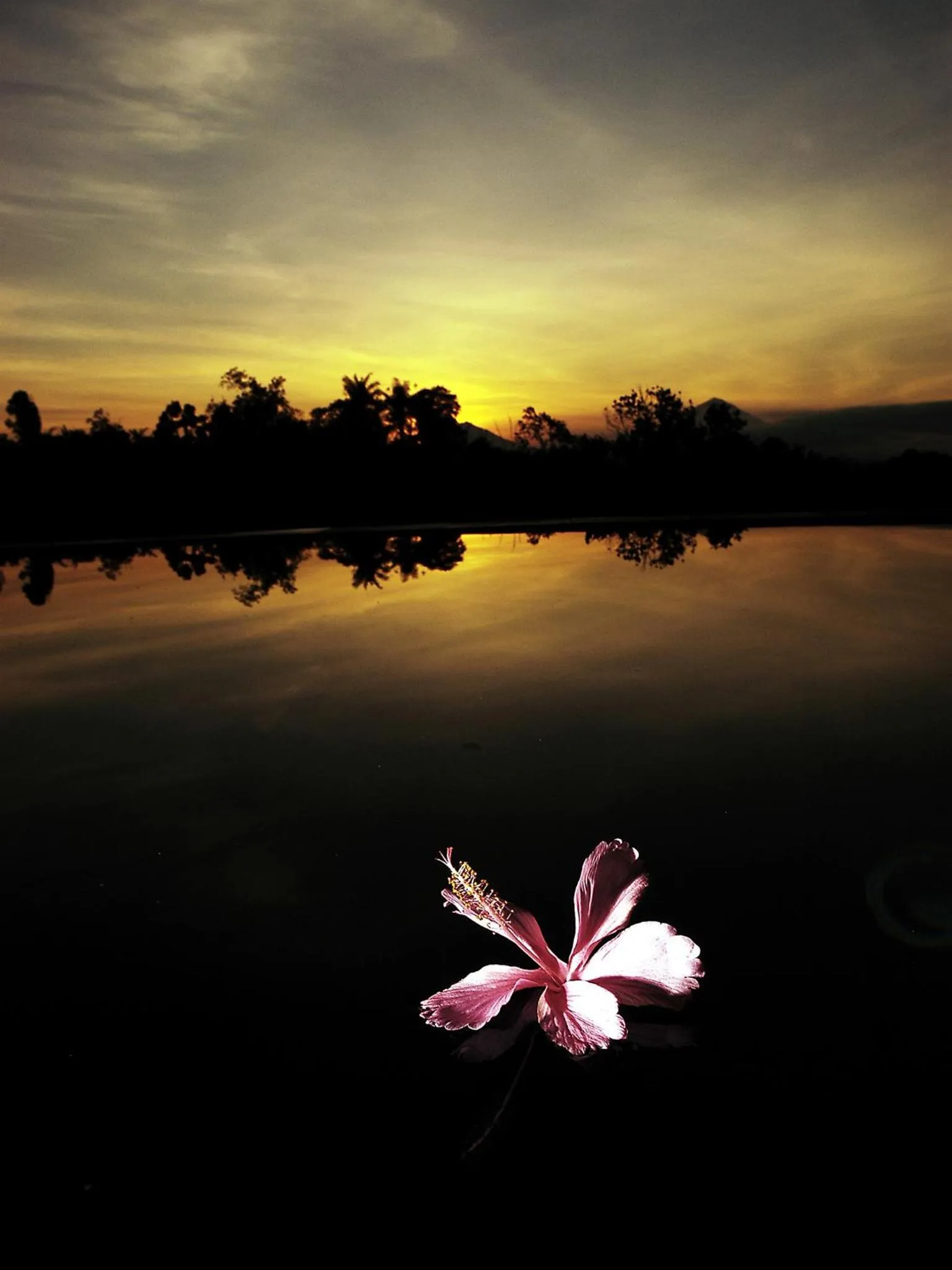 Natural landscape in Bagus Agro Pelaga