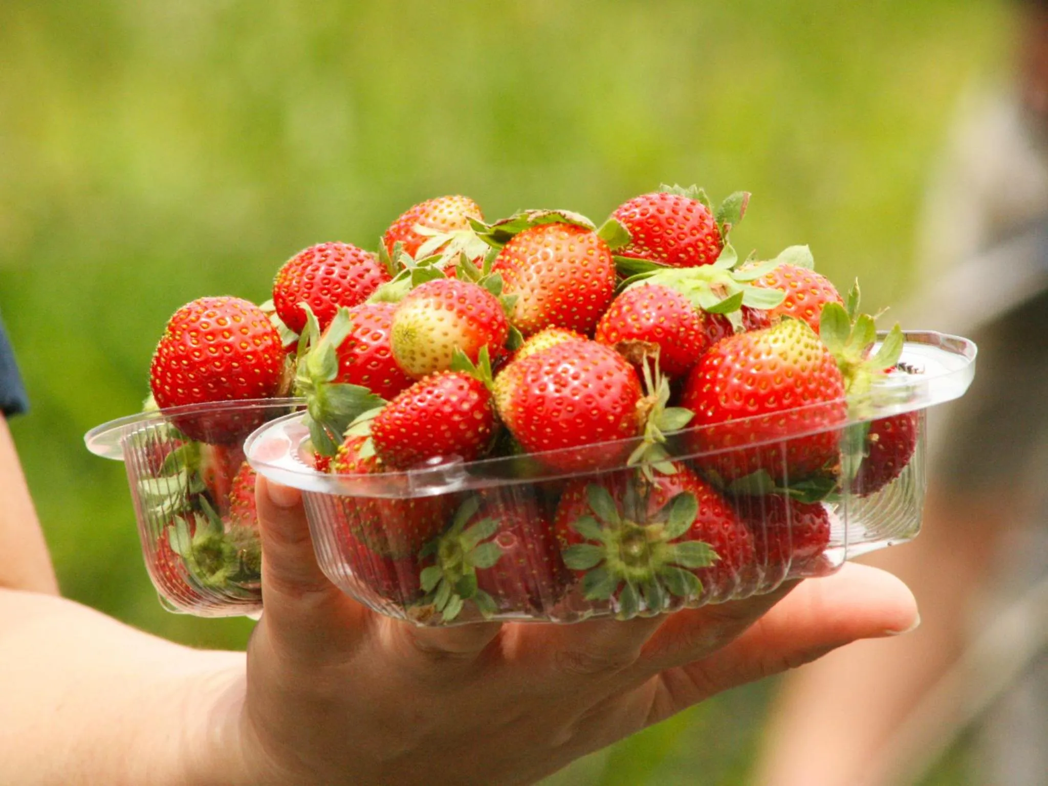 Natural landscape in Bagus Agro Pelaga