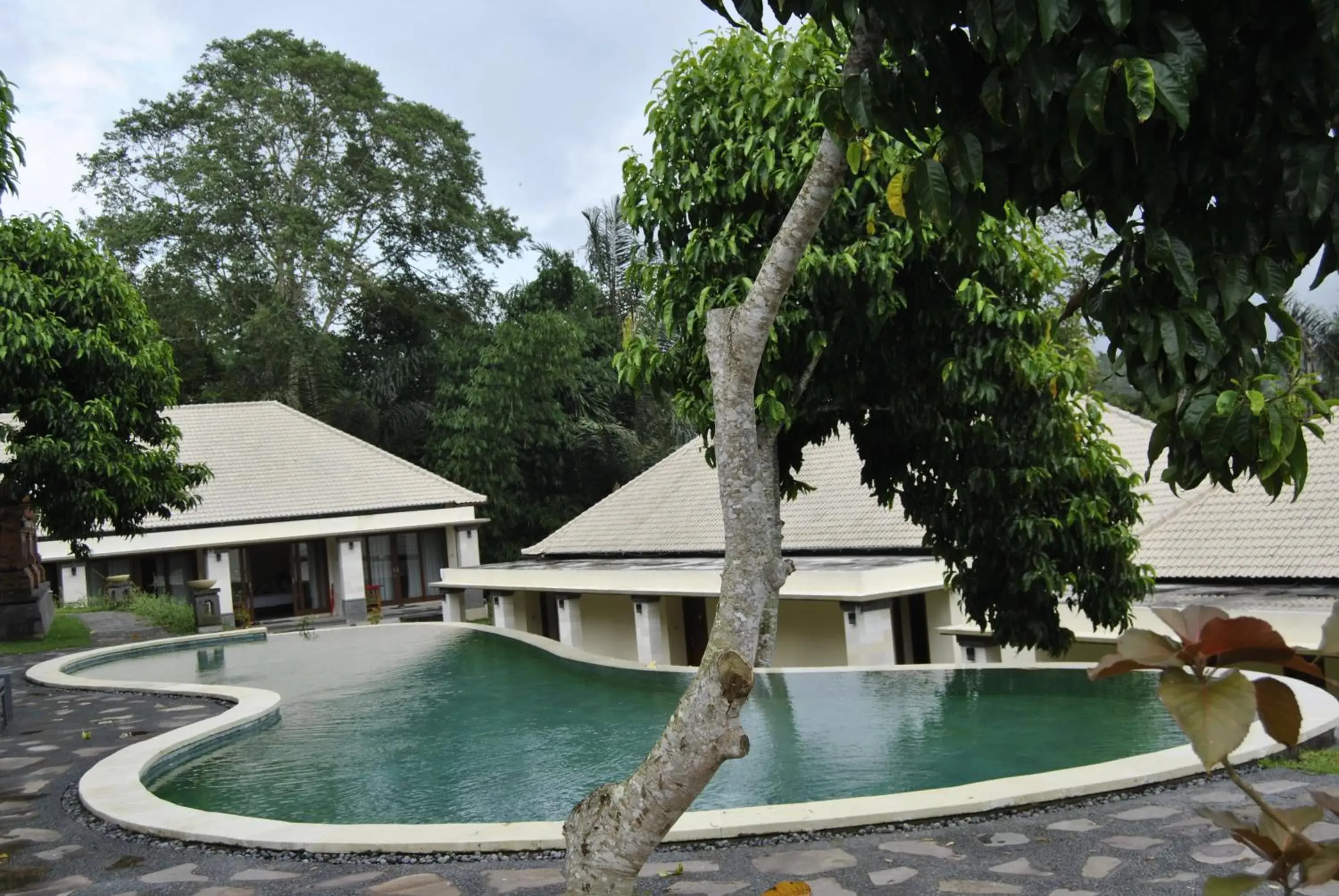 Swimming pool in Bagus Agro Pelaga Swimming pool in Bagus Agro Pelaga
