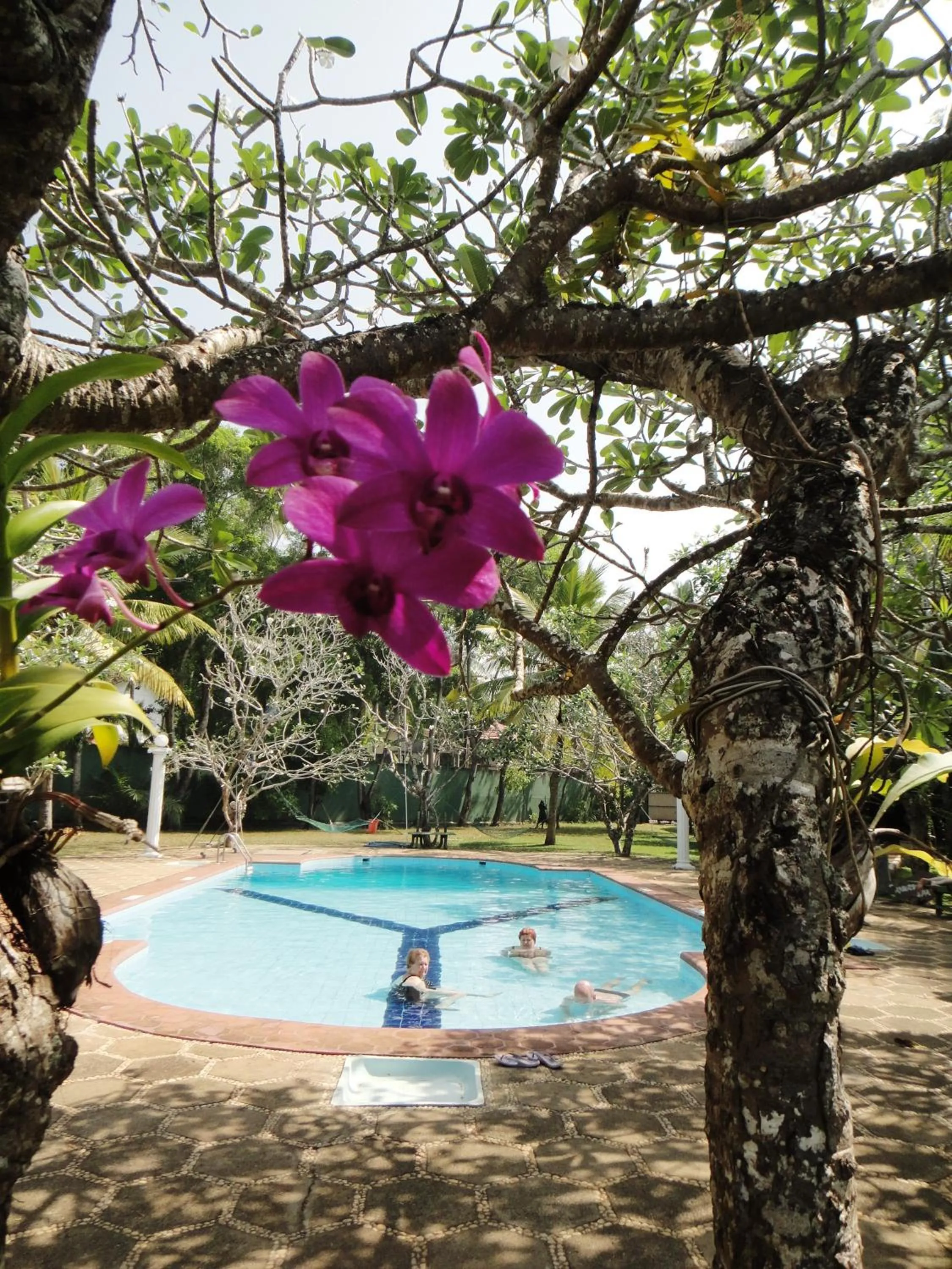 Spring in Ypsylon Tourist Resort