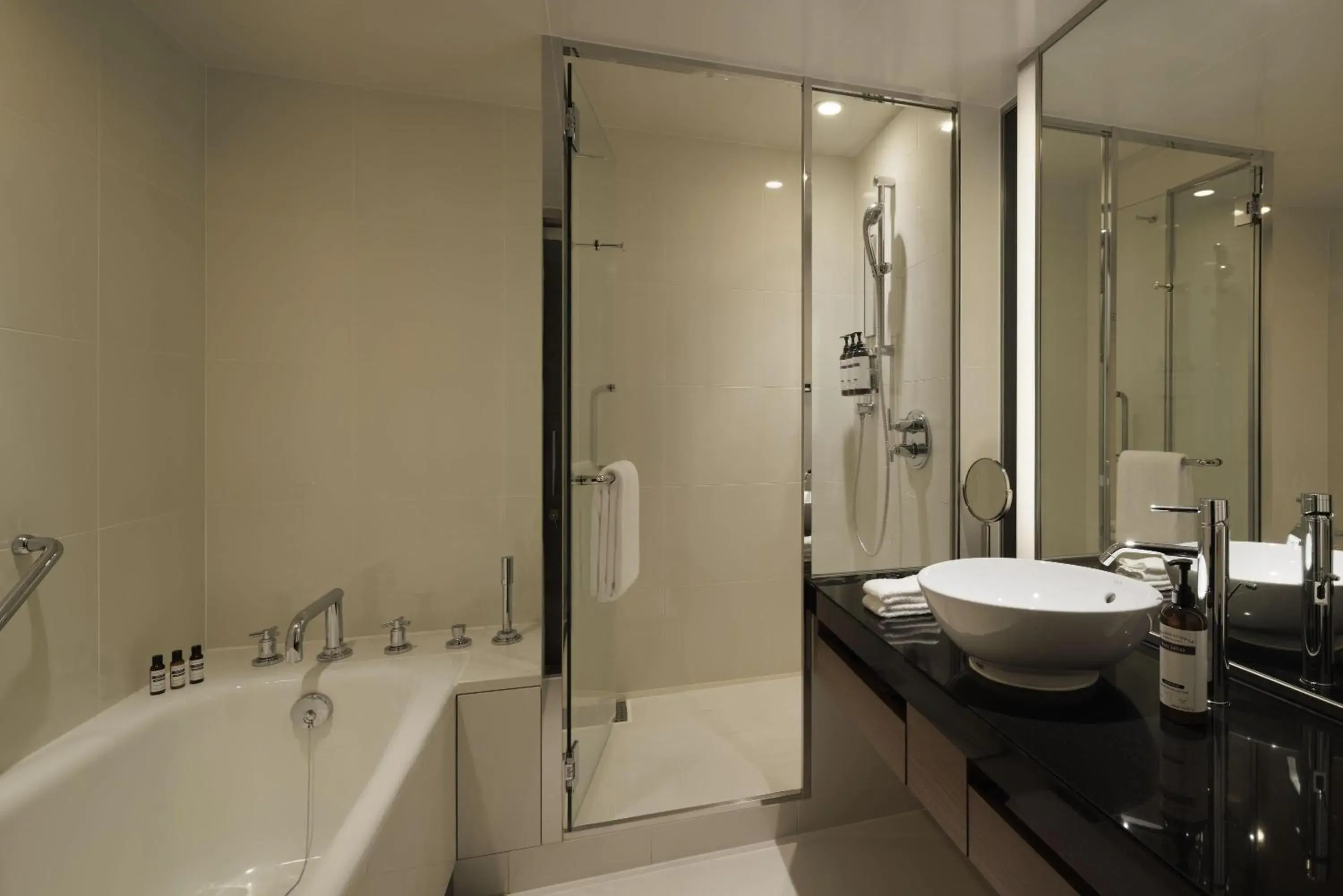 Bathroom in Hyatt Regency Tokyo Bathroom in Hyatt Regency Tokyo