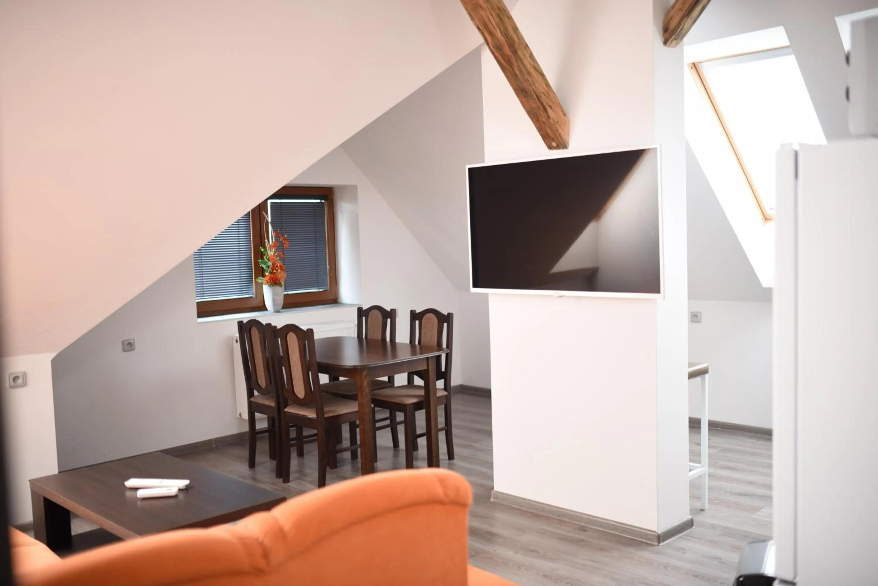 TV and multimedia in Villa u Arény