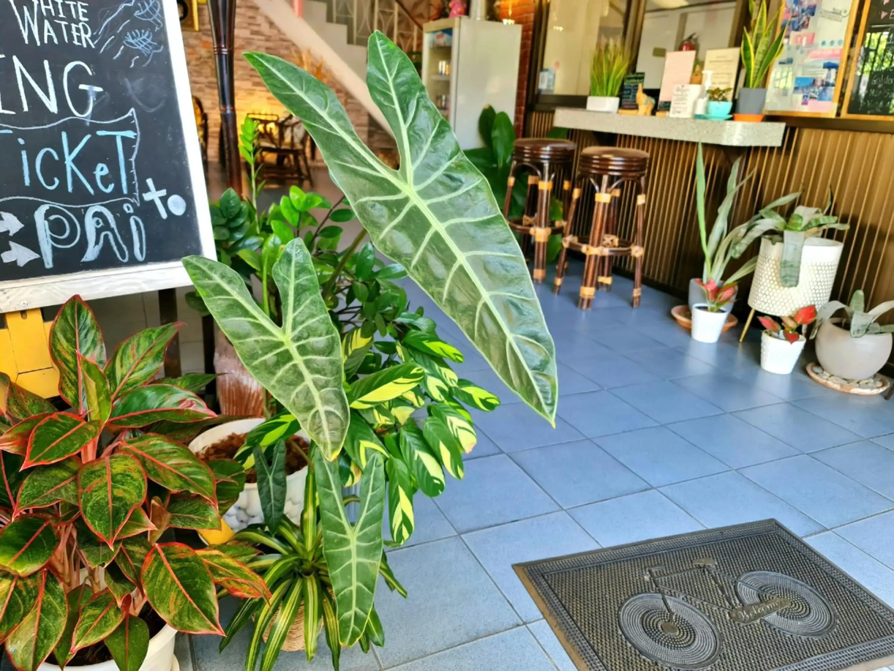 Facade/entrance in Bed and Terrace Guesthouse Chiang Mai Facade/entrance in Bed and Terrace Guesthouse Chiang Mai